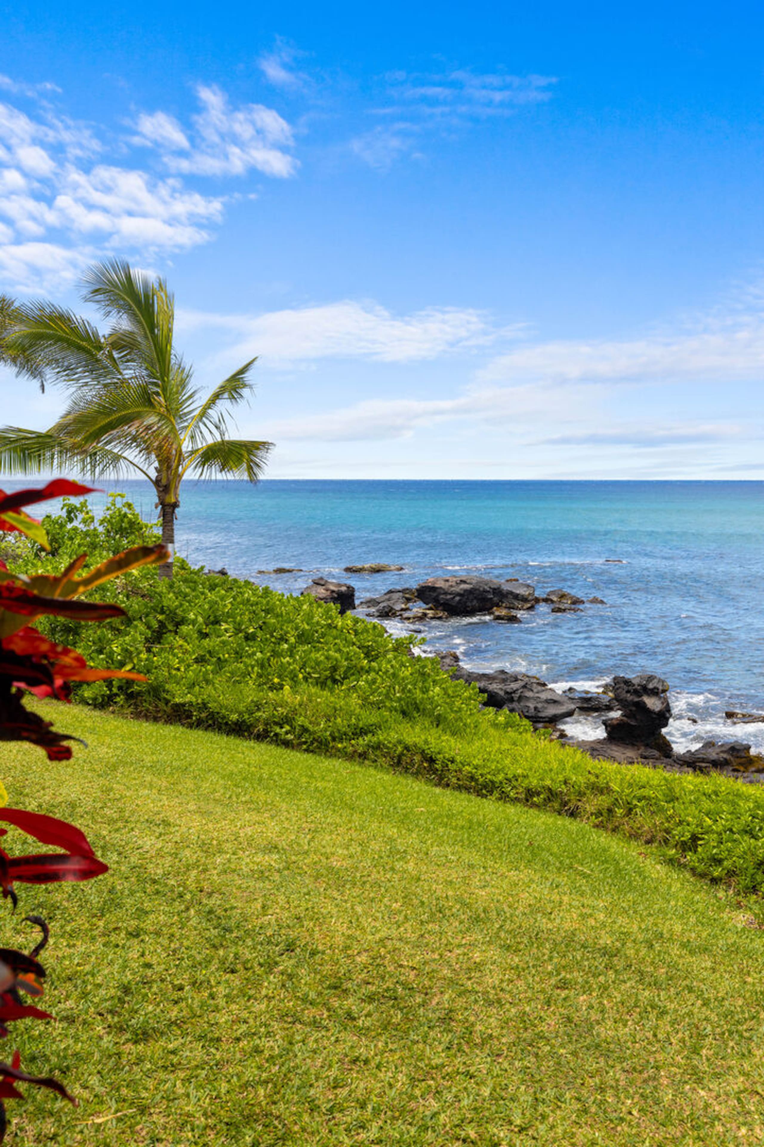 Whale Watching from your lanai, unbeatable views - Photo 7