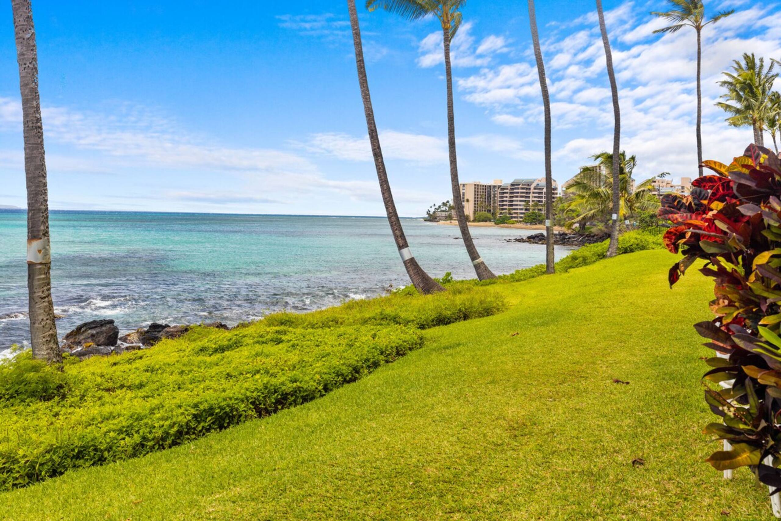 Whale Watching from your lanai, unbeatable views - Photo 12