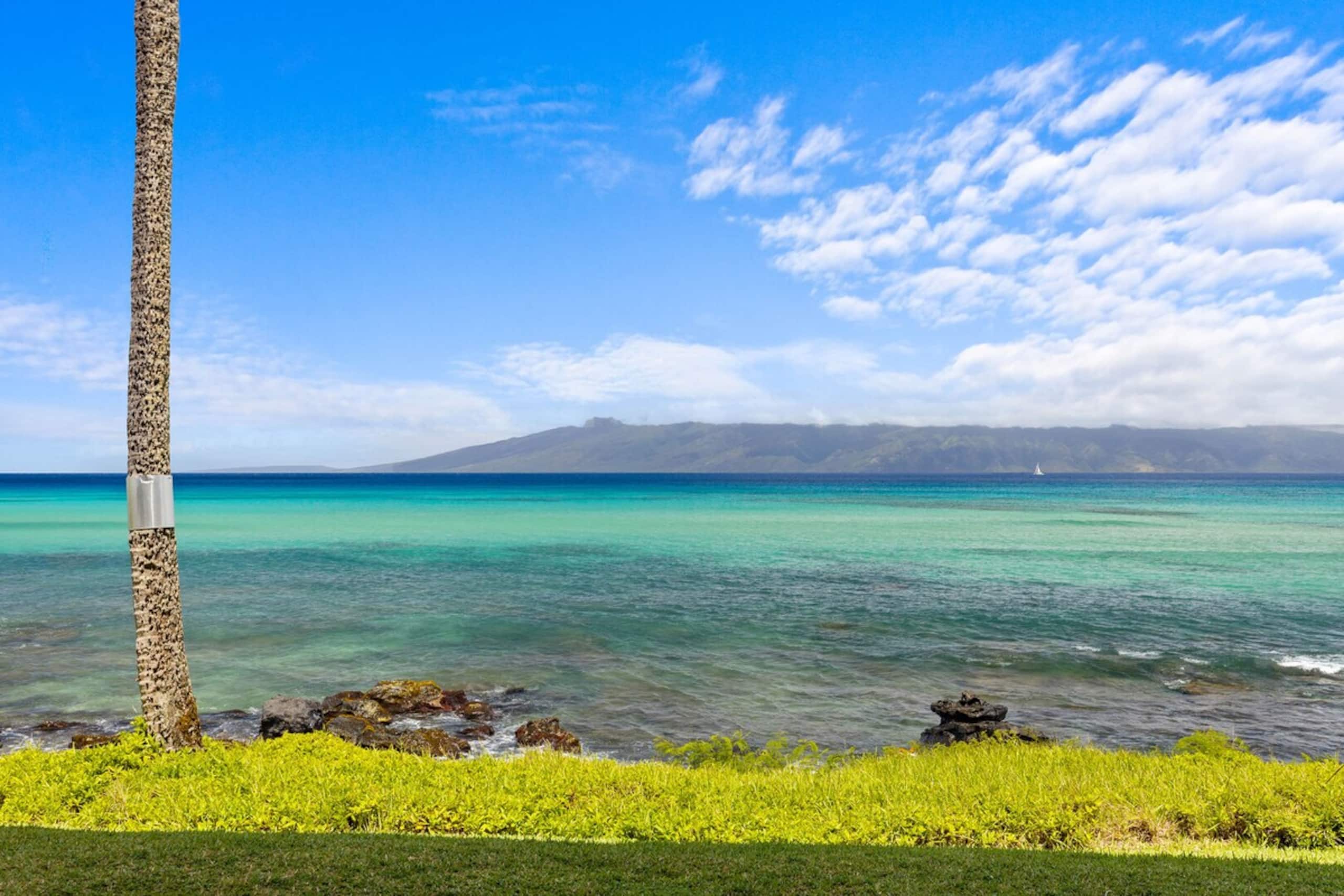 Whale Watching from your lanai, unbeatable views - Photo 5