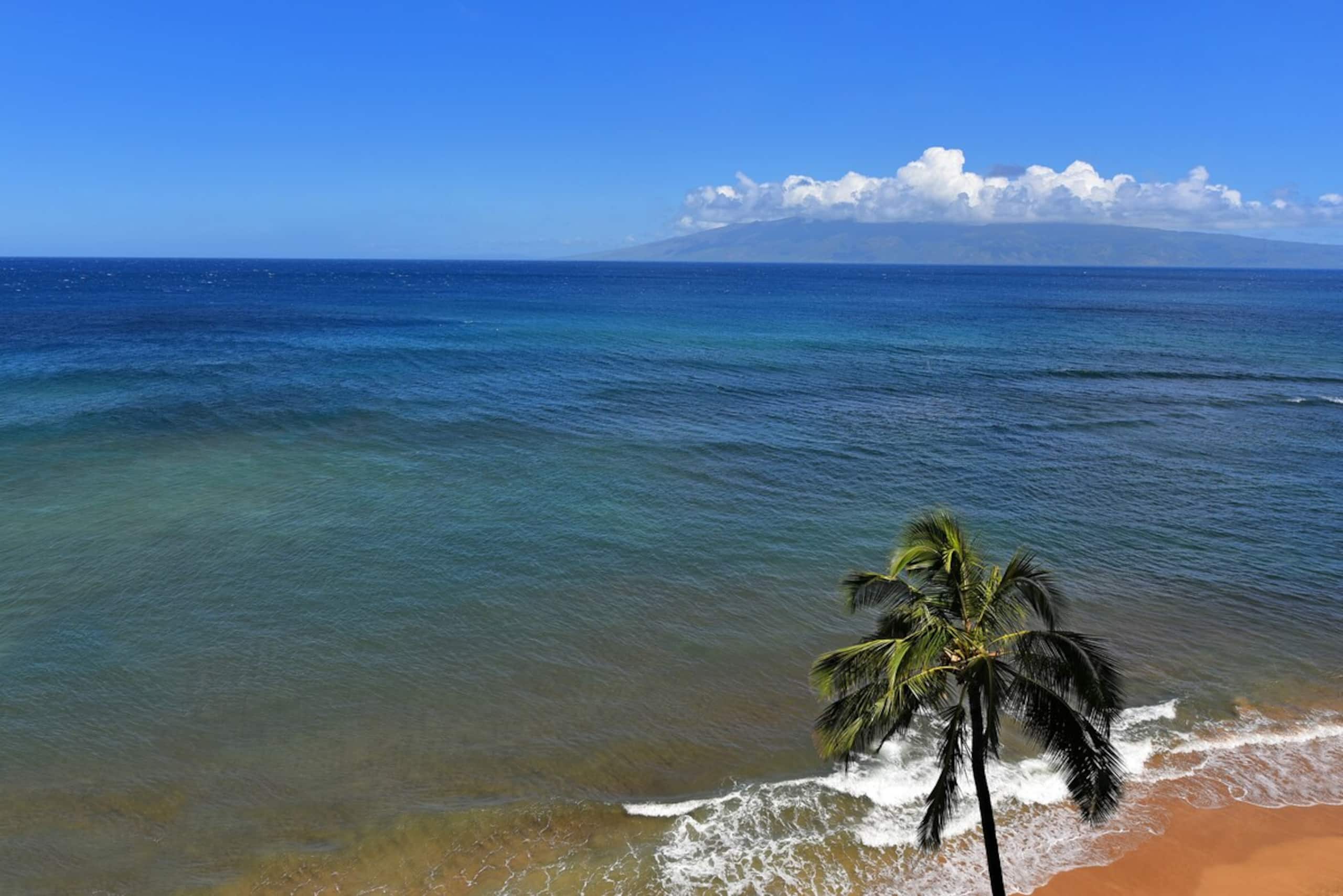 North Ka'anapali beach condo w/ boat slip - Photo 16