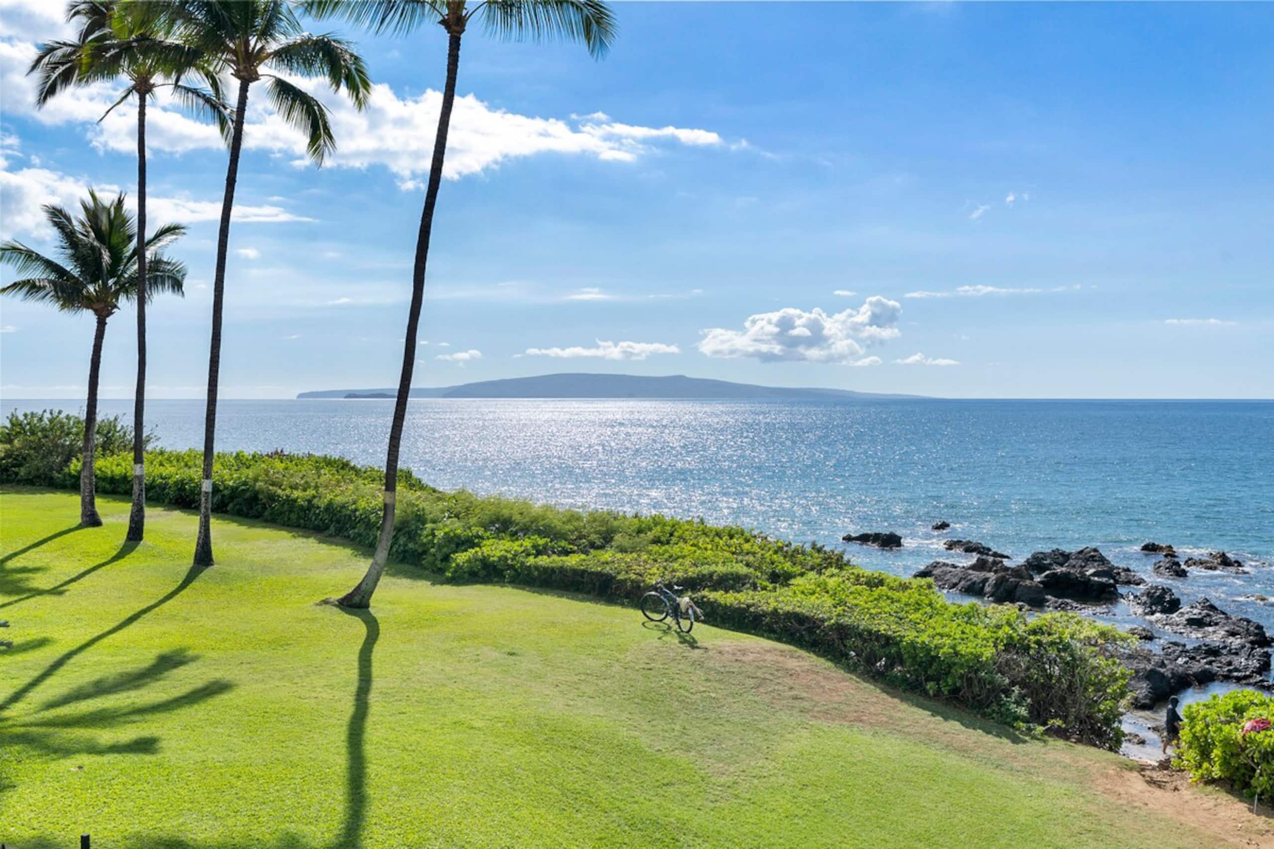 Oceanfront Maui Condo with a Fantastic Ocean View - Photo 29