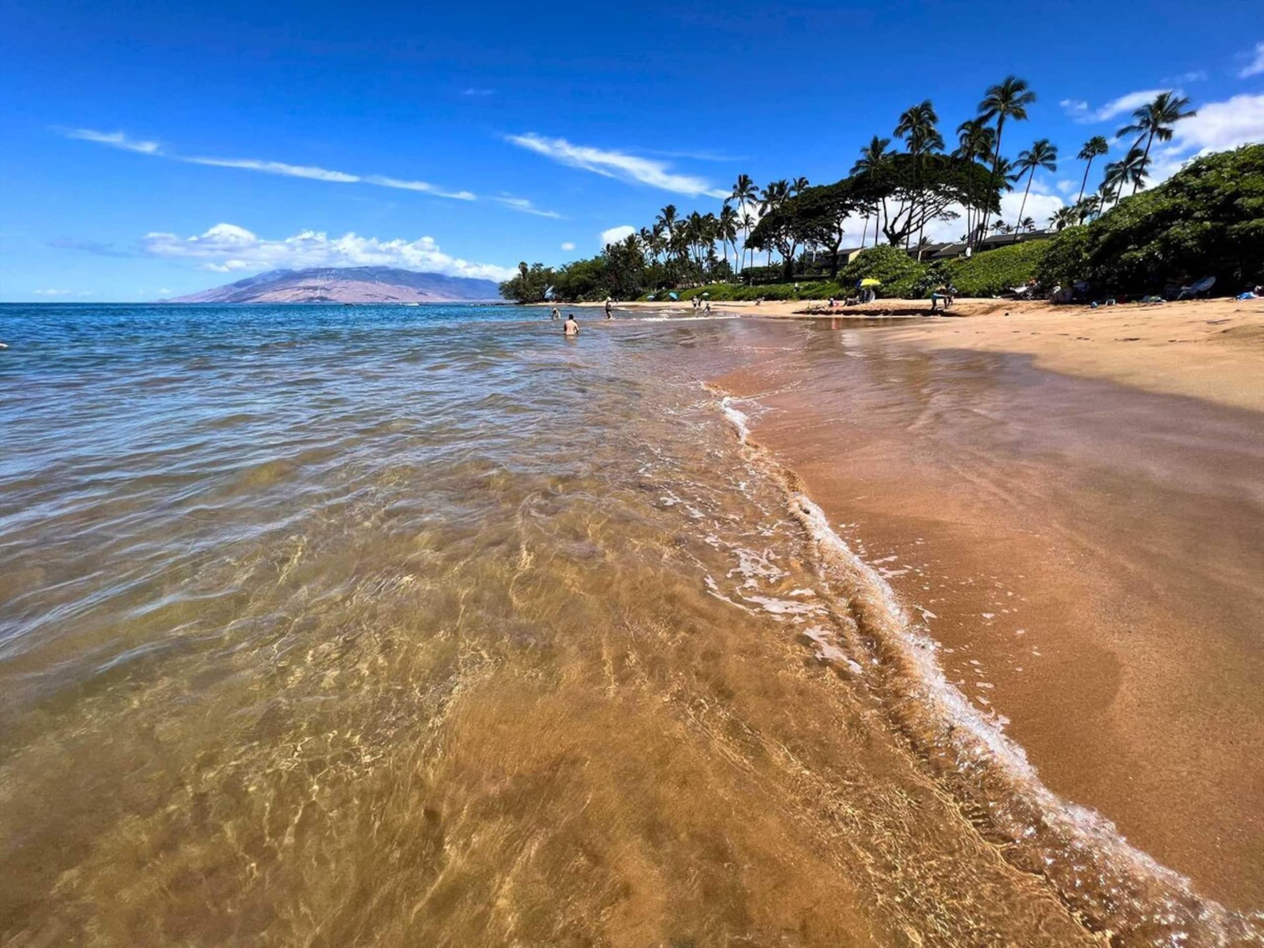 Kihei Akahi Resort - Unit B103 - Photo 38