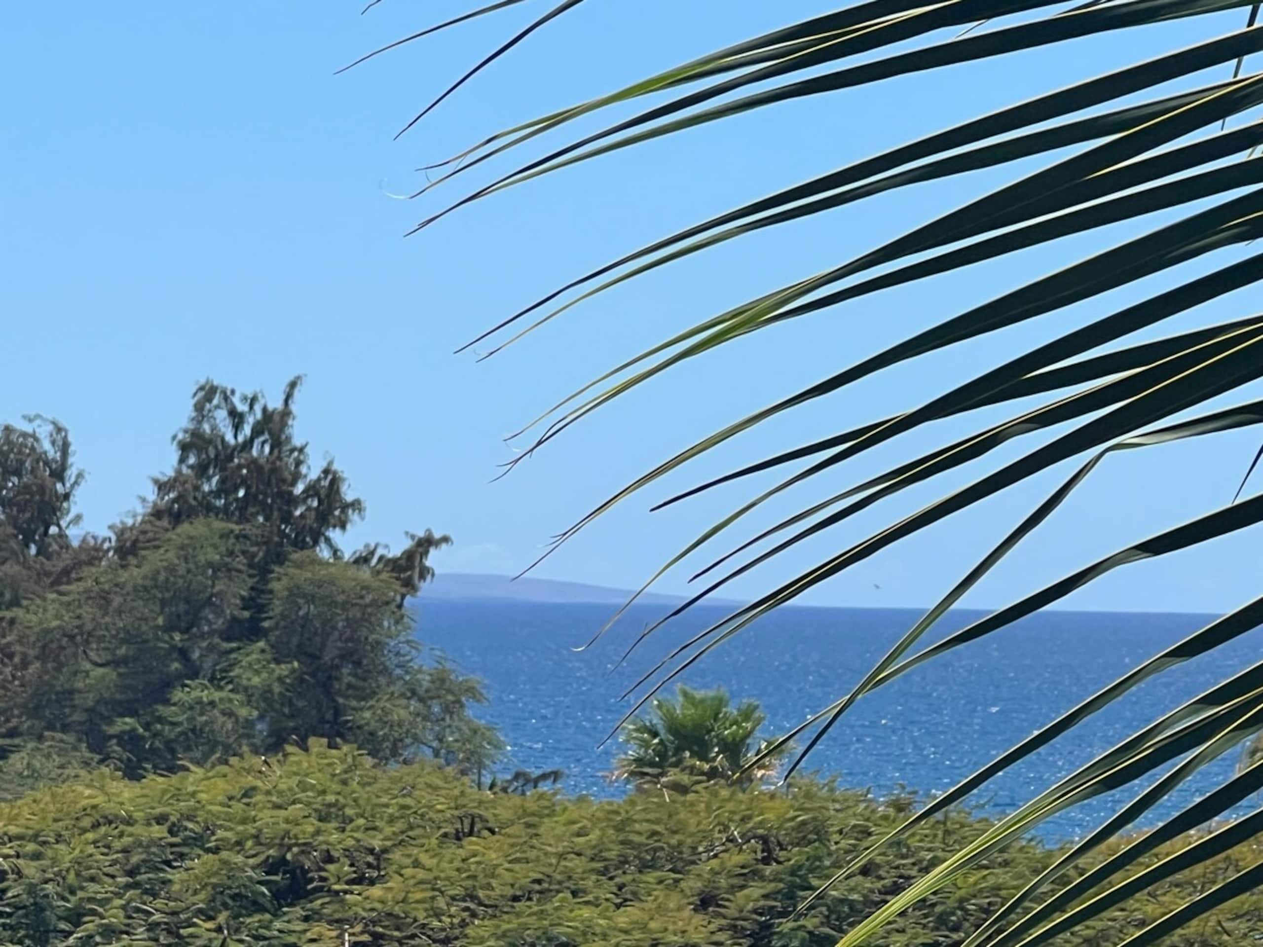 Haleakalā and Ocean Views Resort Zoned - Photo 18