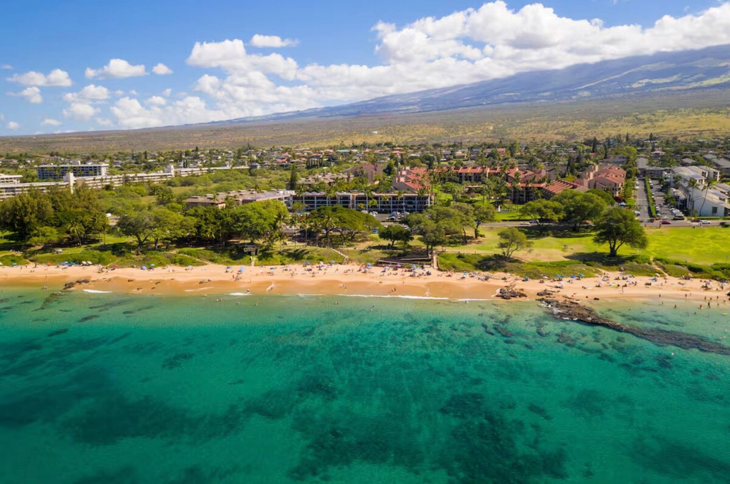 Stylish Retreat in South Maui - Photo 24