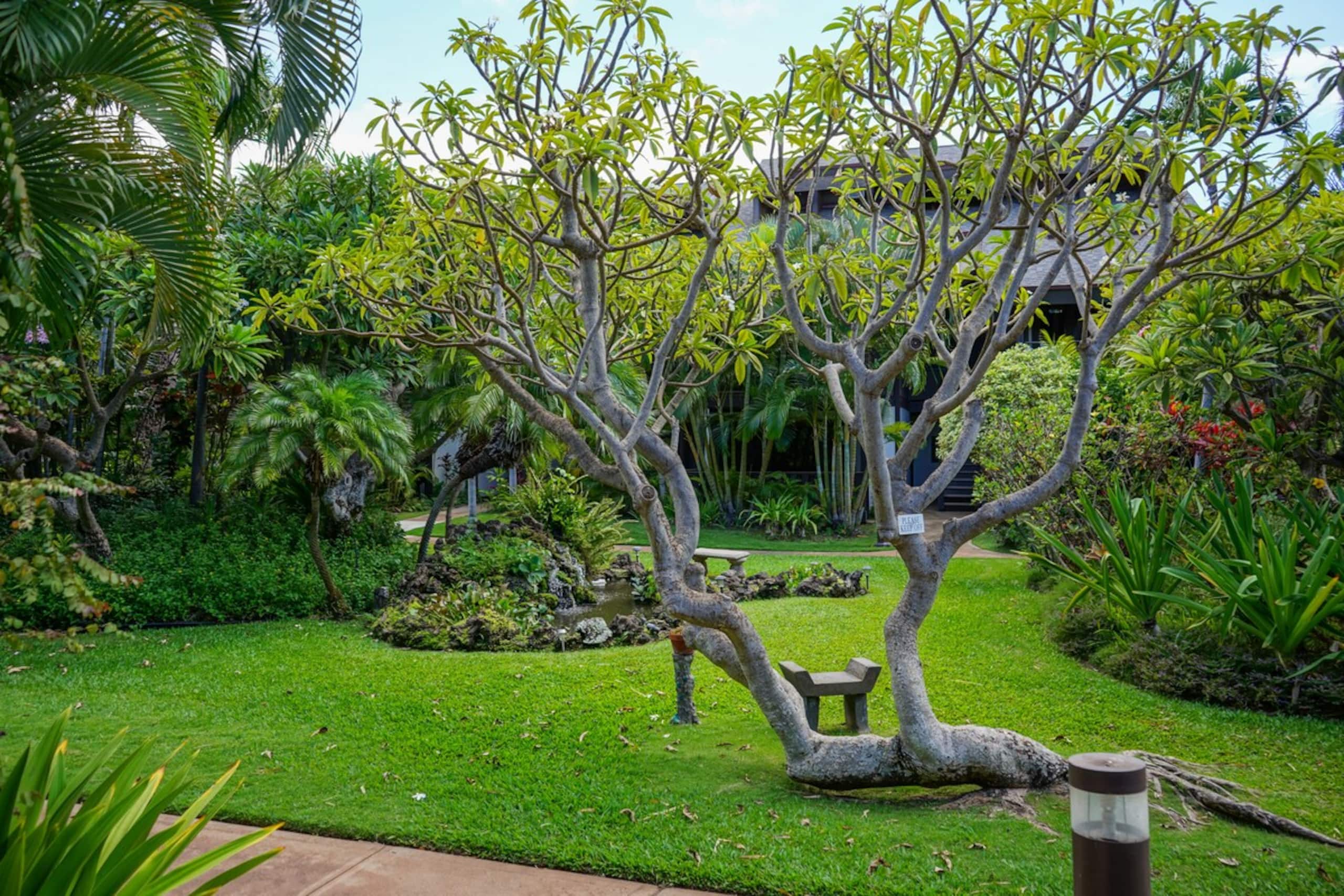 A/C park free no resort fees tropical resort KR108 - Photo 26