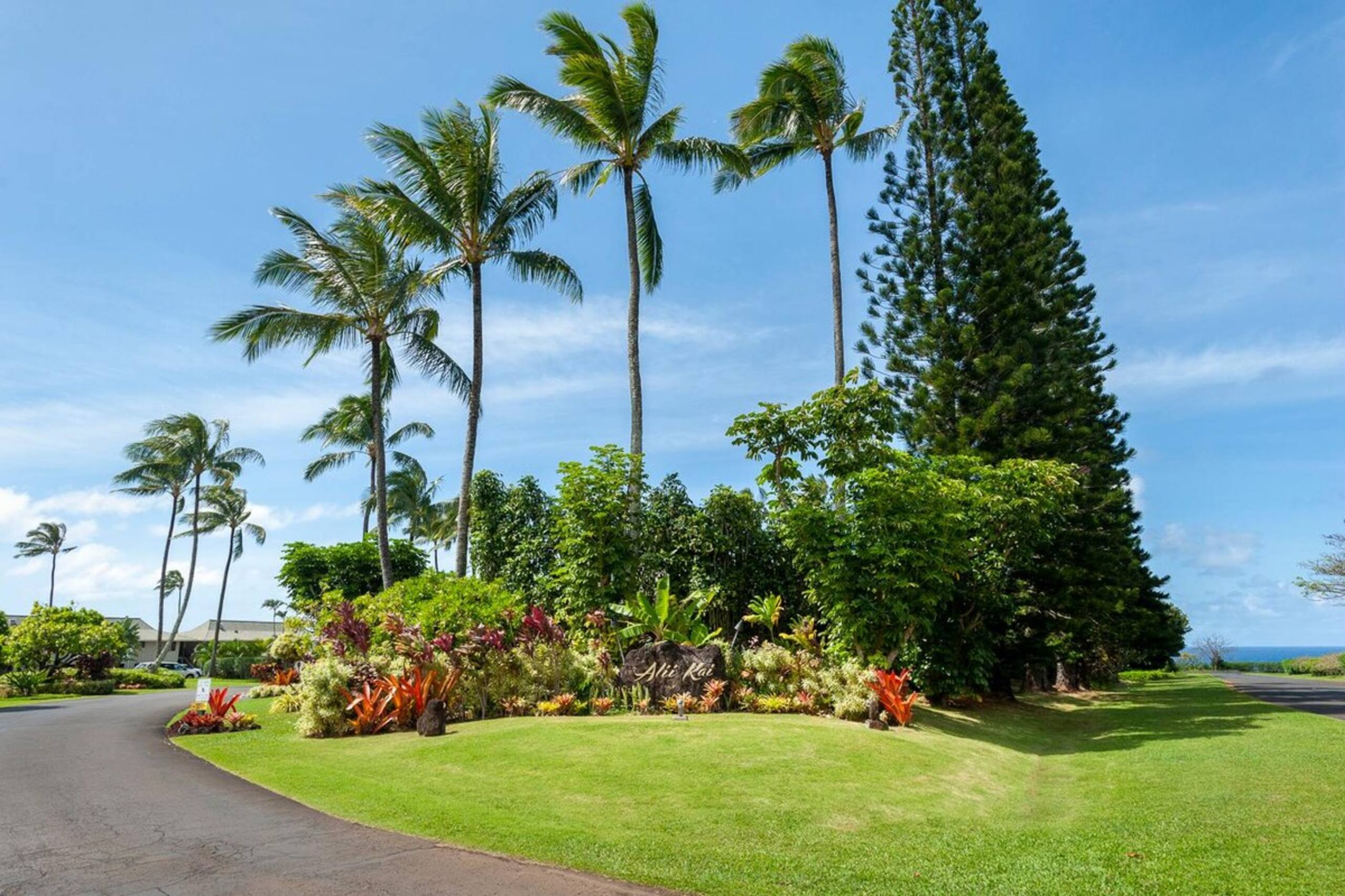 Classic Hawaiian Charmer - Spacious and Cheerful - Photo 25