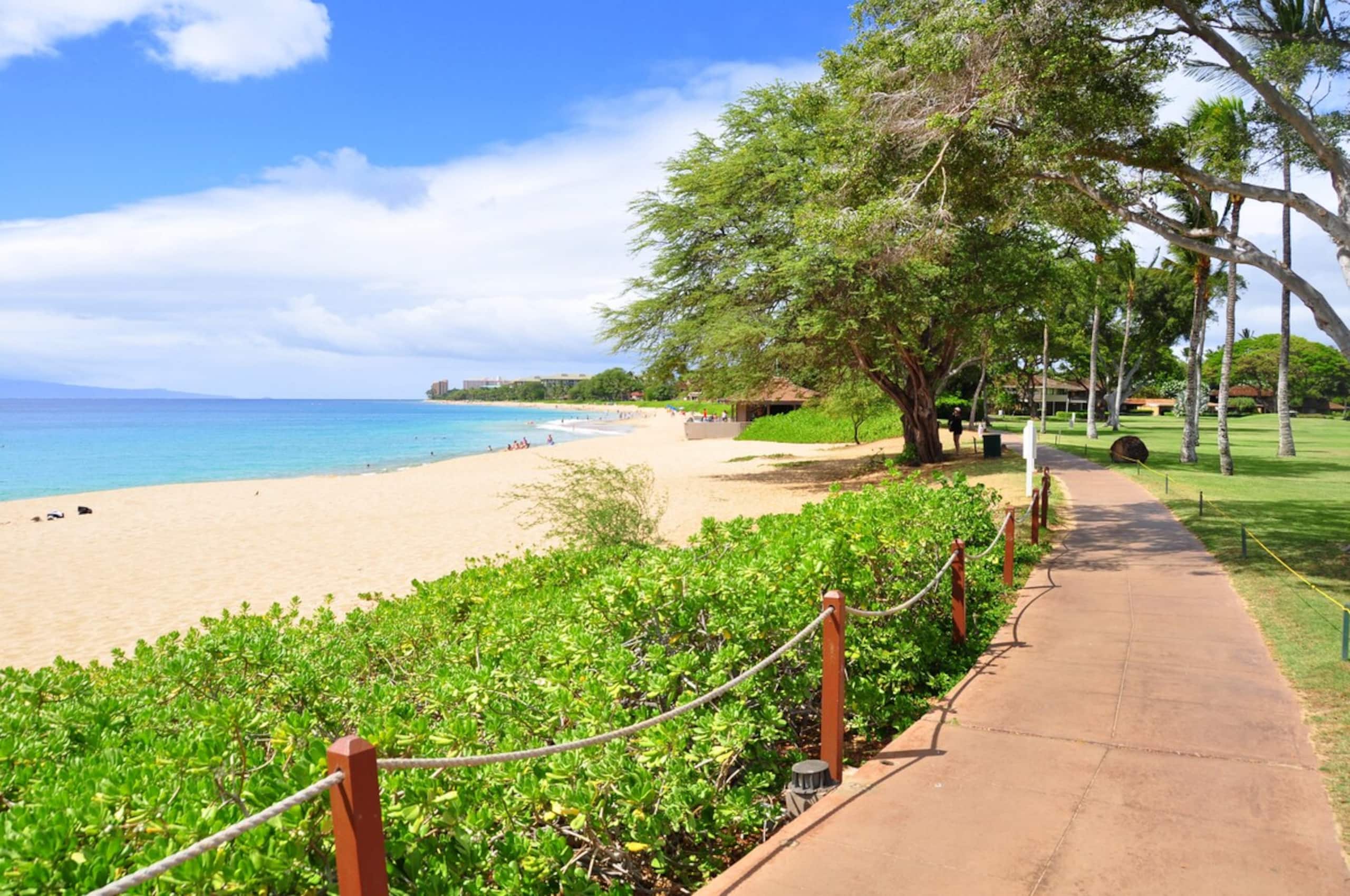 Wake up to Ocean Sounds - Oceanfront 3BR Condo - - Photo 78