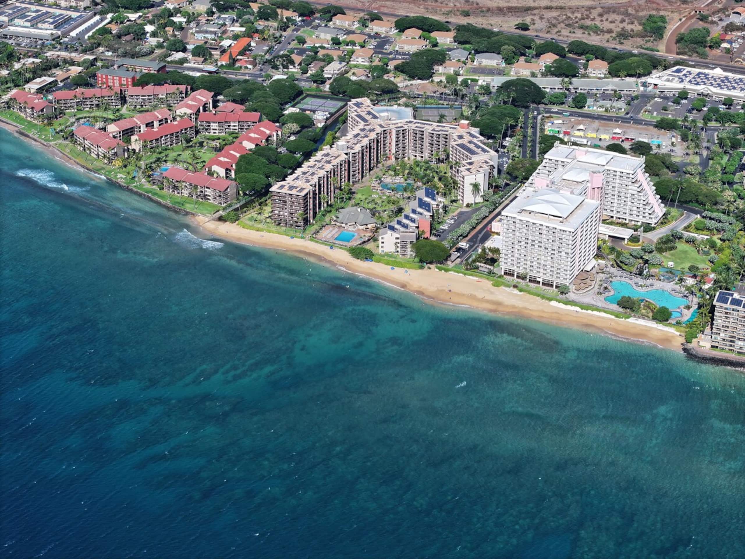 Wake up to Ocean Sounds - Oceanfront 3BR Condo - - Photo 59