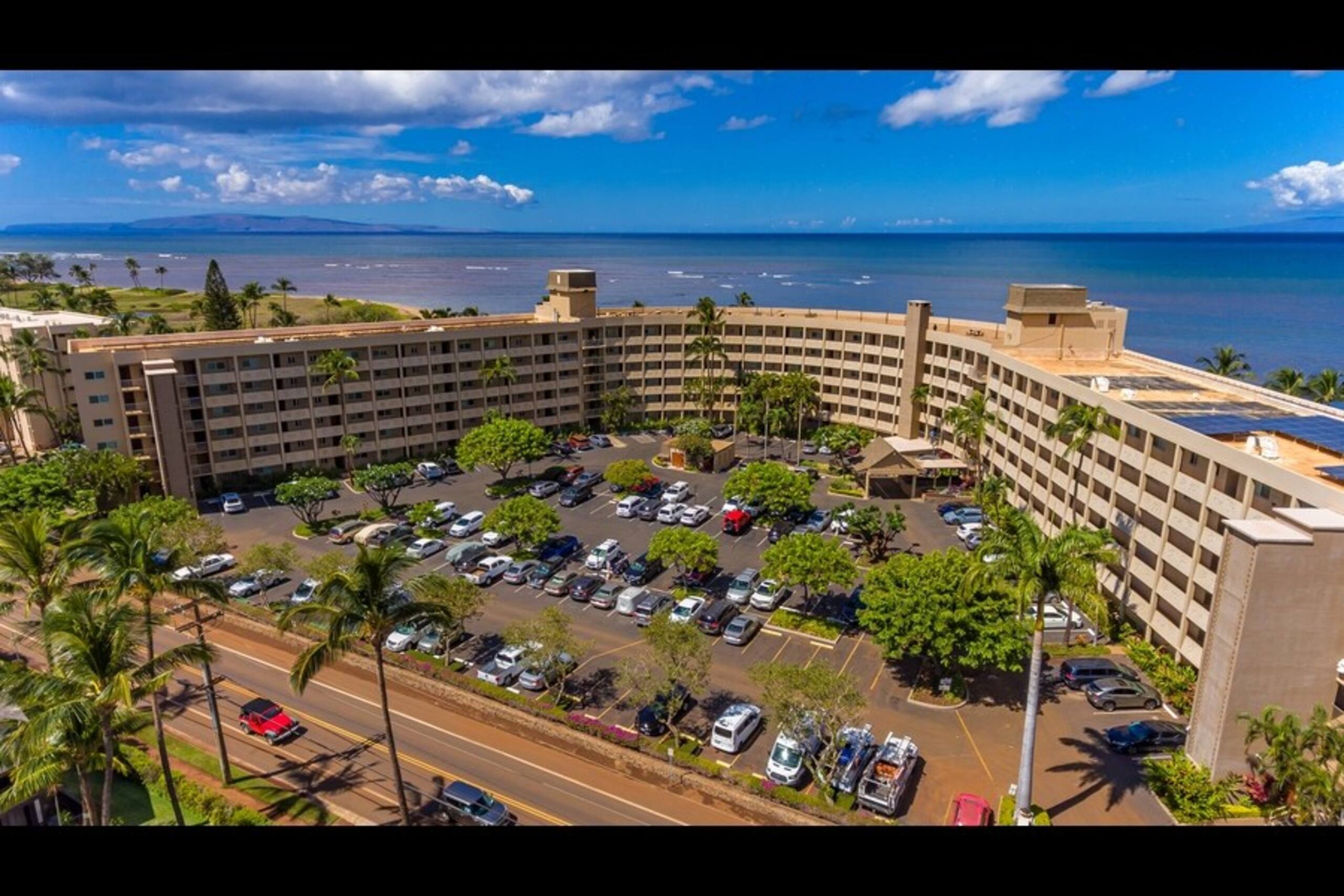 Beachfront 3BD/2BA–Mene 118 - Photo 33
