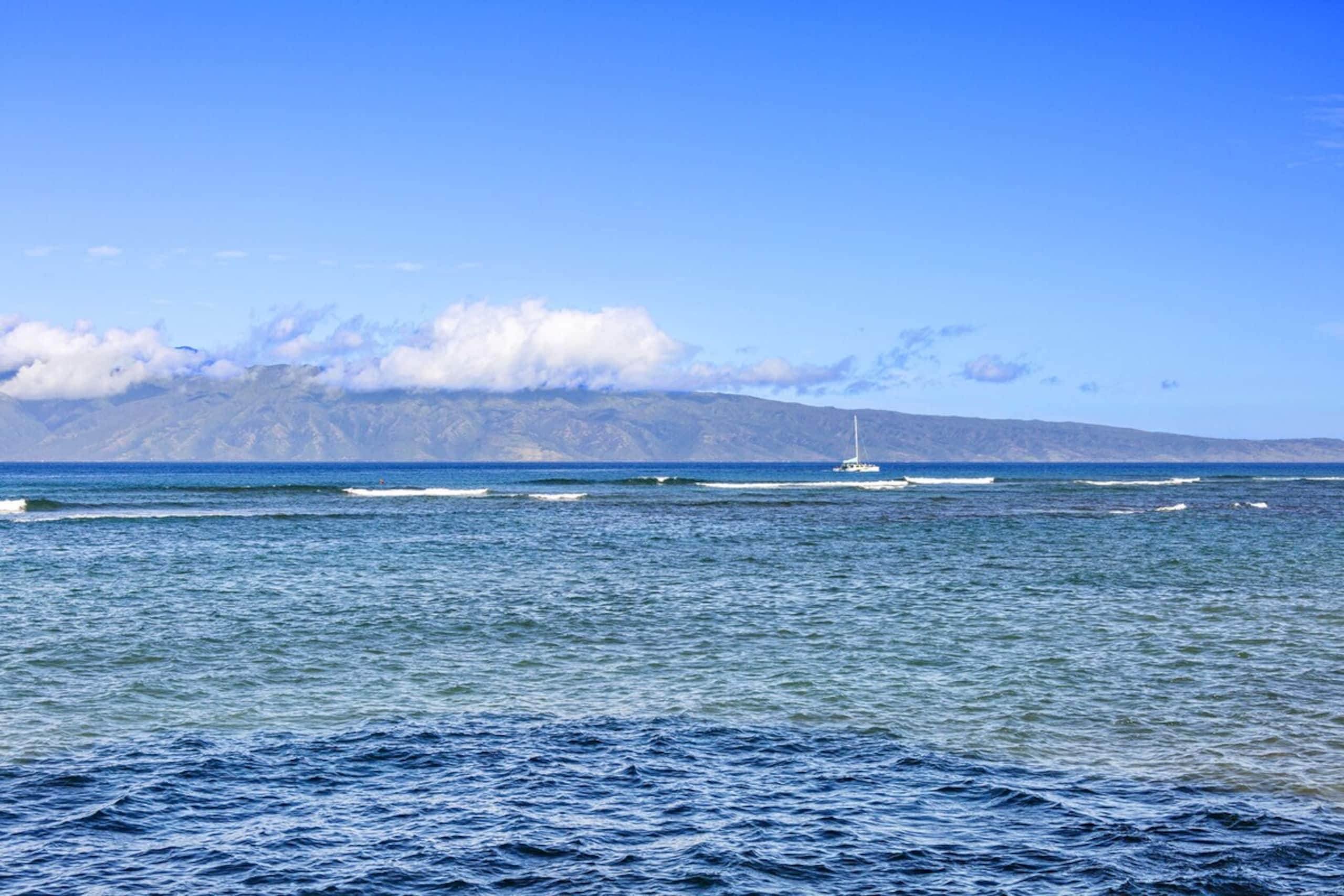 Lanai Dining, Island views and Sealife watching - Photo 35