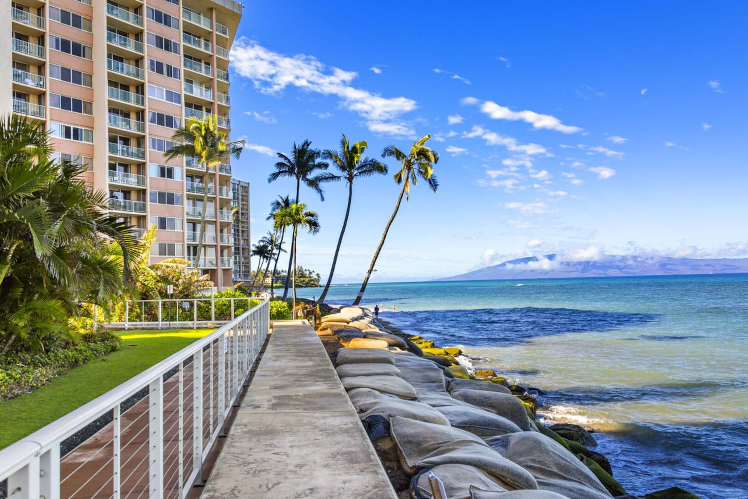 Lanai Dining, Island views and Sealife watching - Photo 36