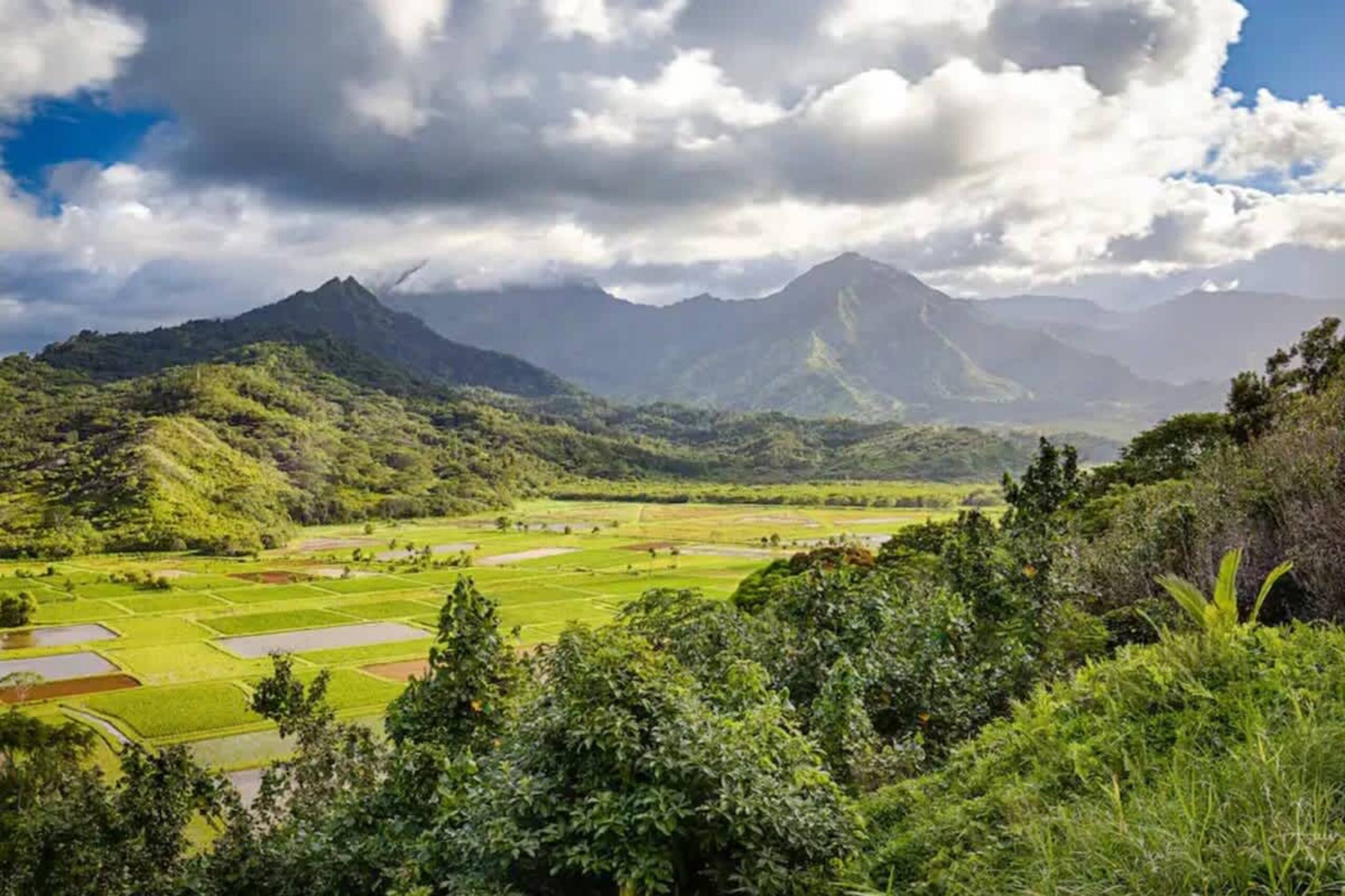 Kauai Mermaid Queen Sanctuary - Sleeps 16 - A/C - Photo 48