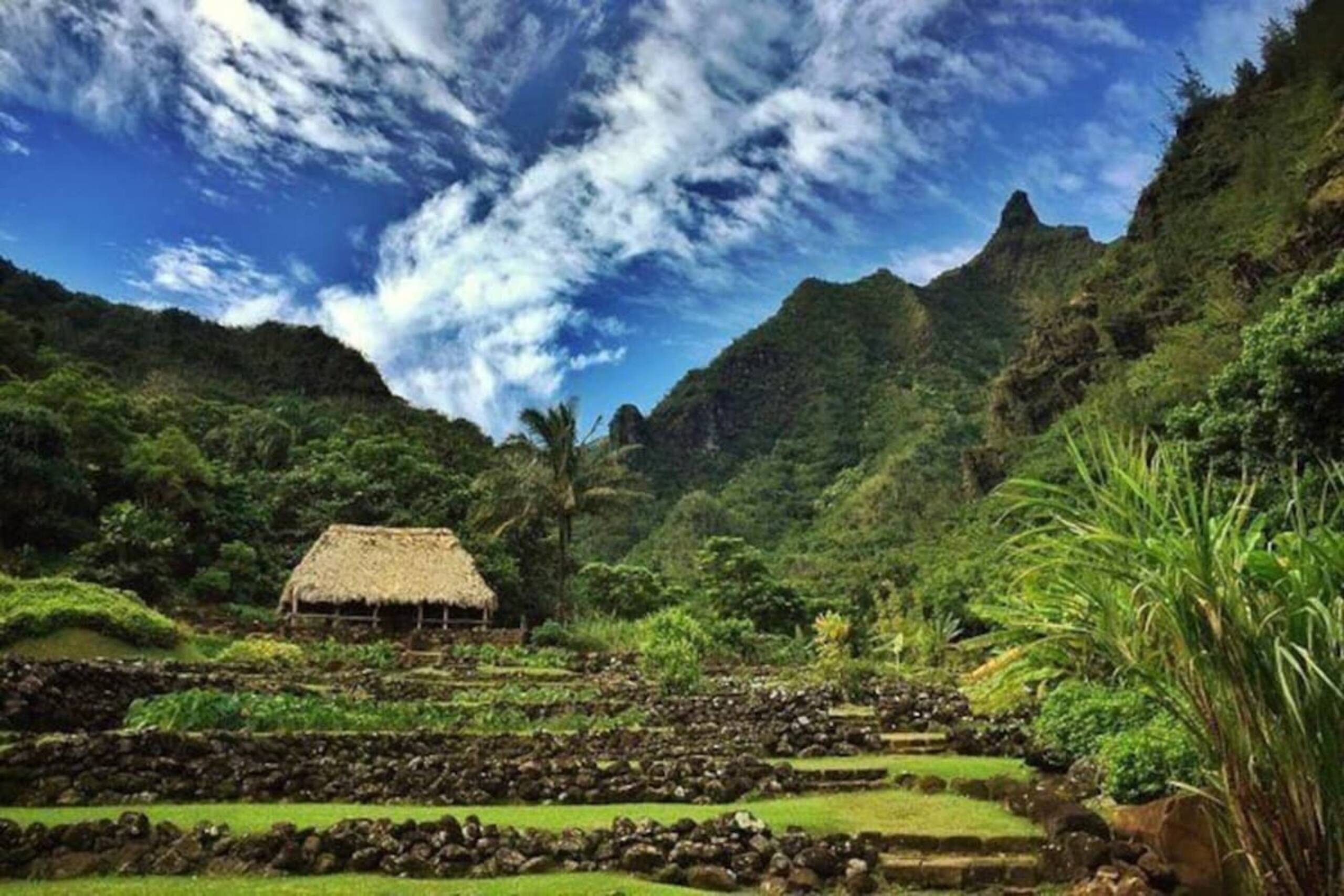Kauai Mermaid Queen Sanctuary - Sleeps 16 - A/C - Photo 36
