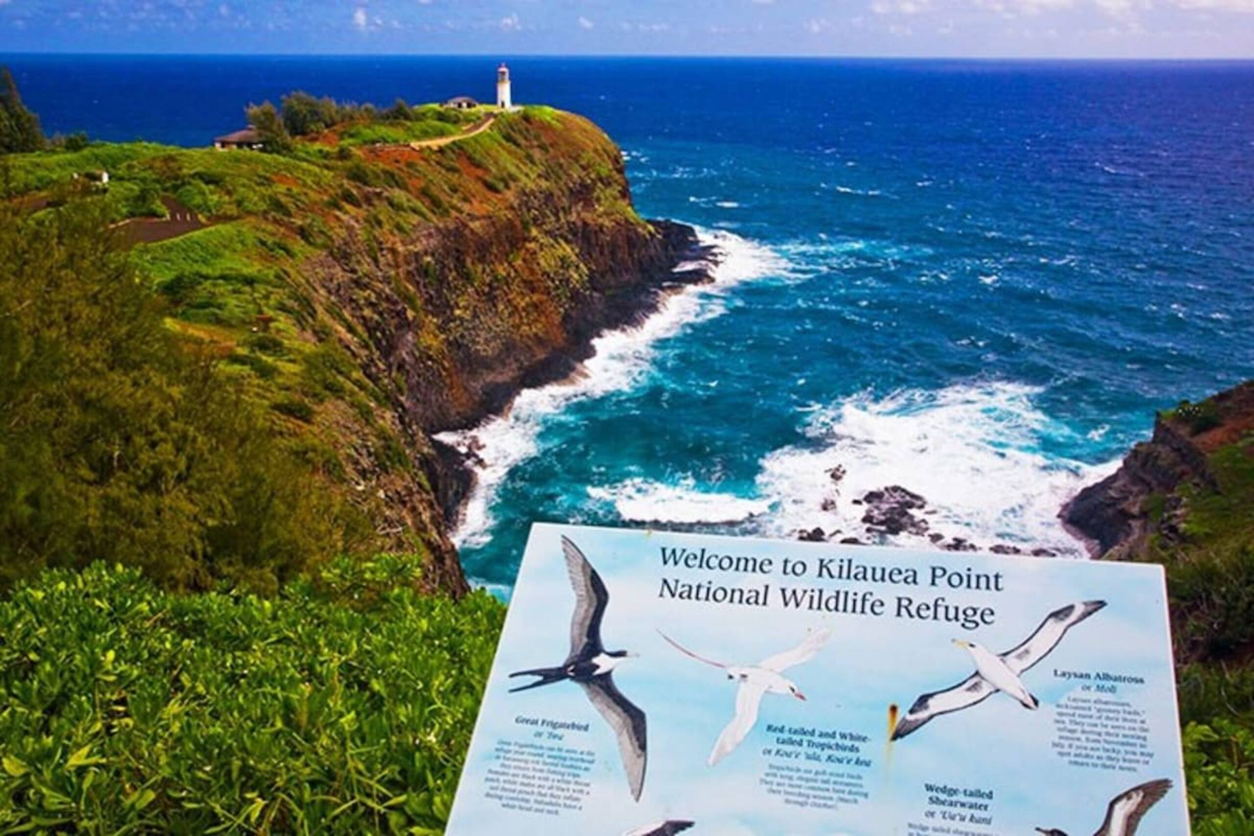 Kauai Mermaid Queen Sanctuary - Sleeps 16 - A/C - Photo 41