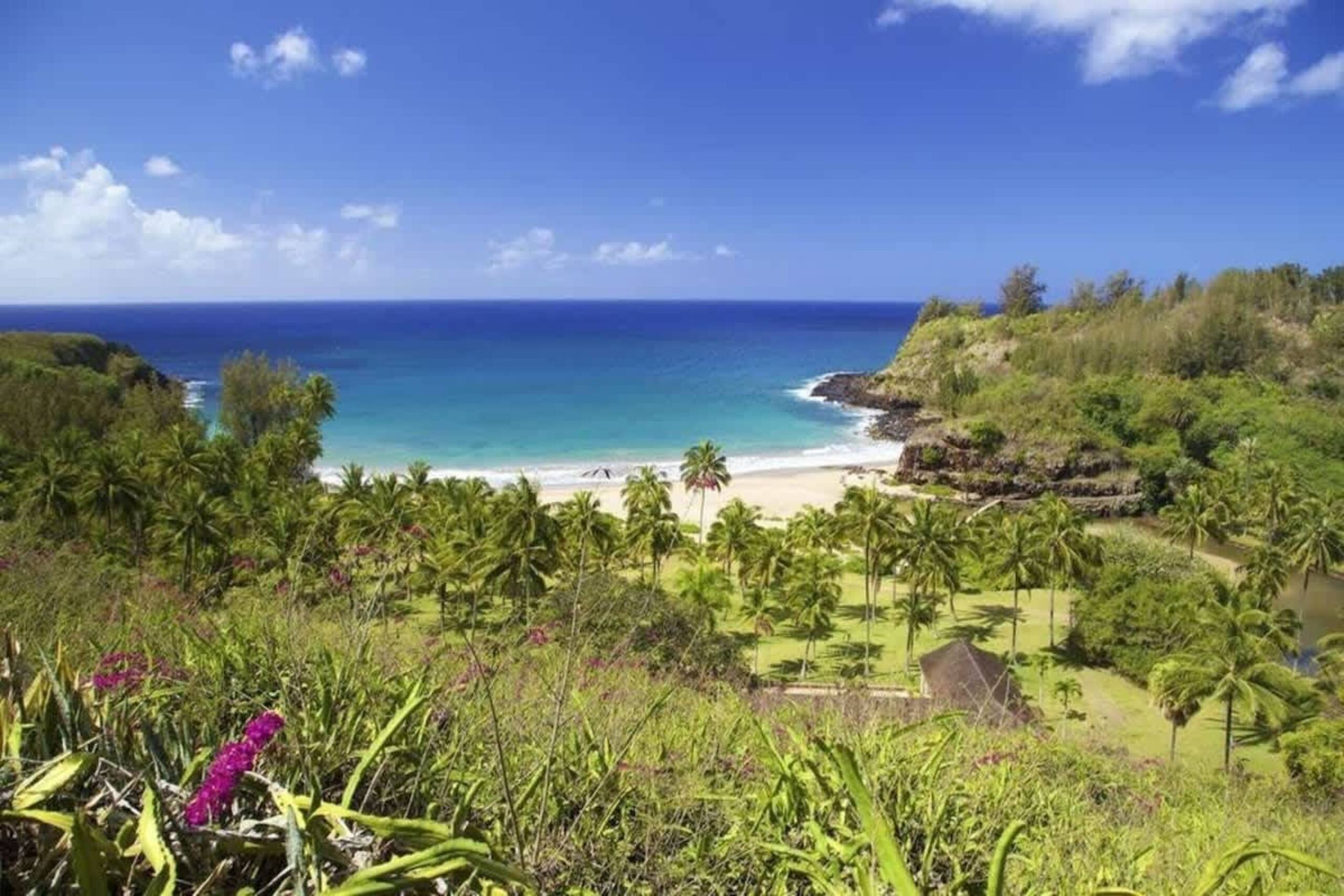 Kauai Mermaid Queen Sanctuary - Sleeps 16 - A/C - Photo 45