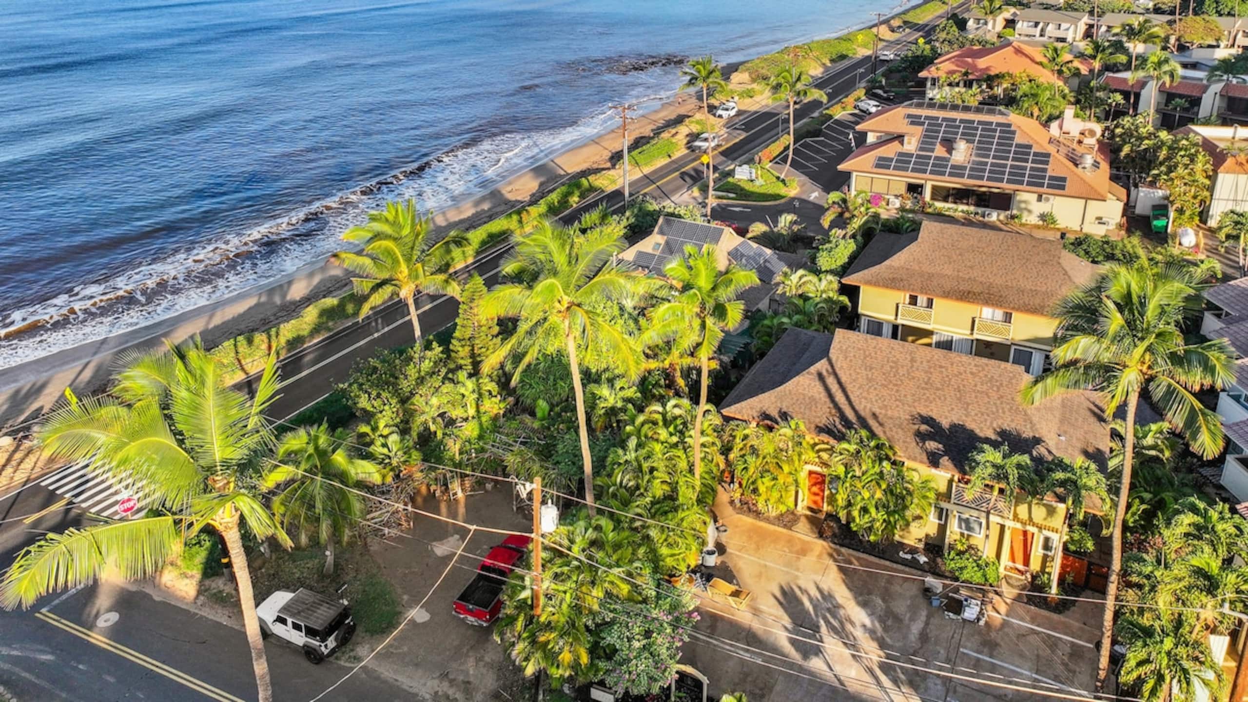 Boutique Beachside 1bd I Aloha Pualani Suite 3 - Photo 115