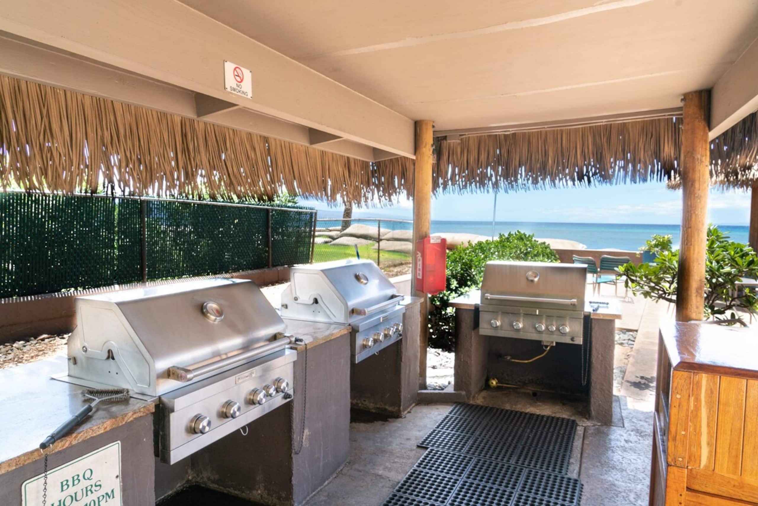 Modern Hawaiian Ocean View Villa - Photo 10