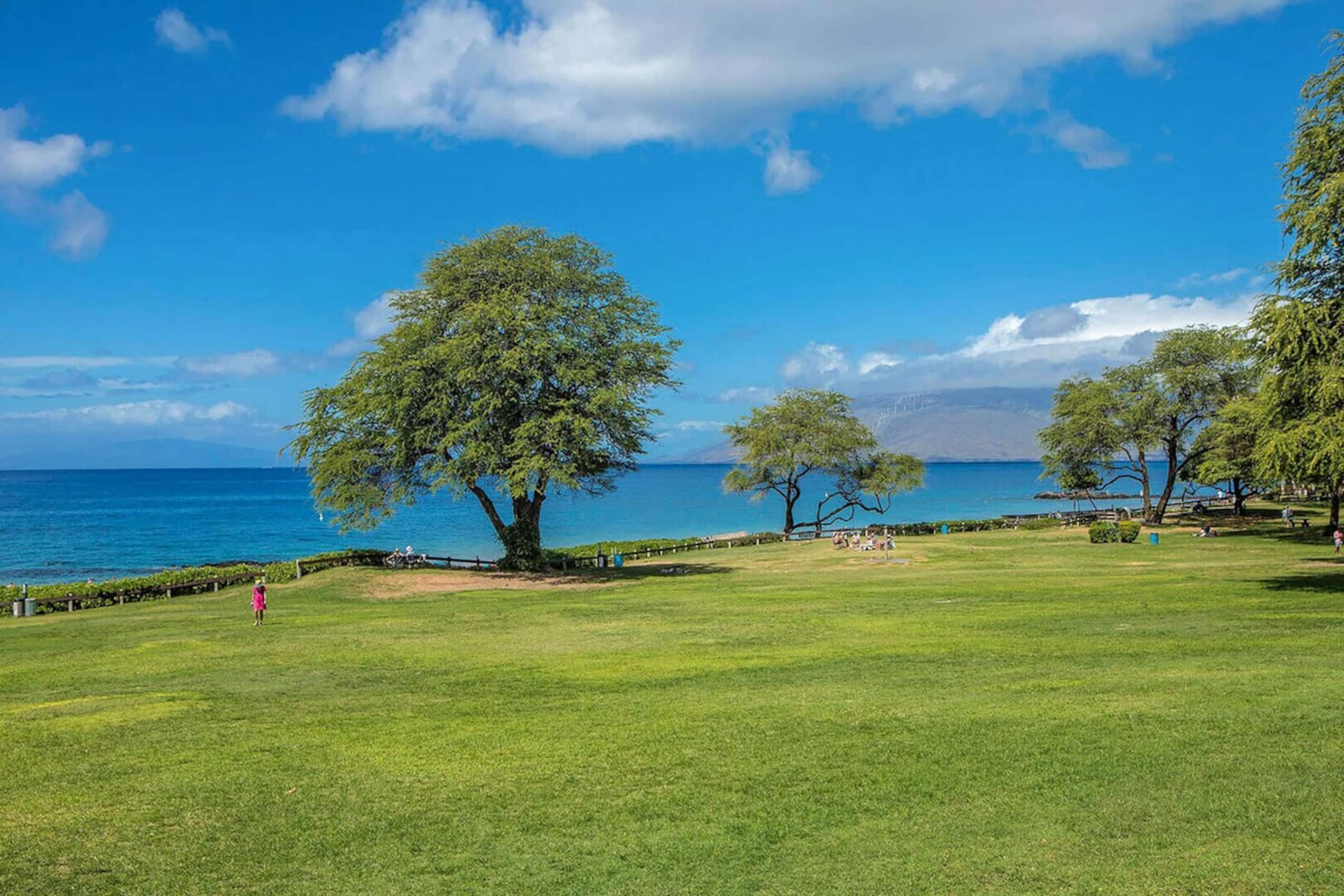 Kamaole Sands 4-411 - Modern, Ocean View, Split AC - Photo 44