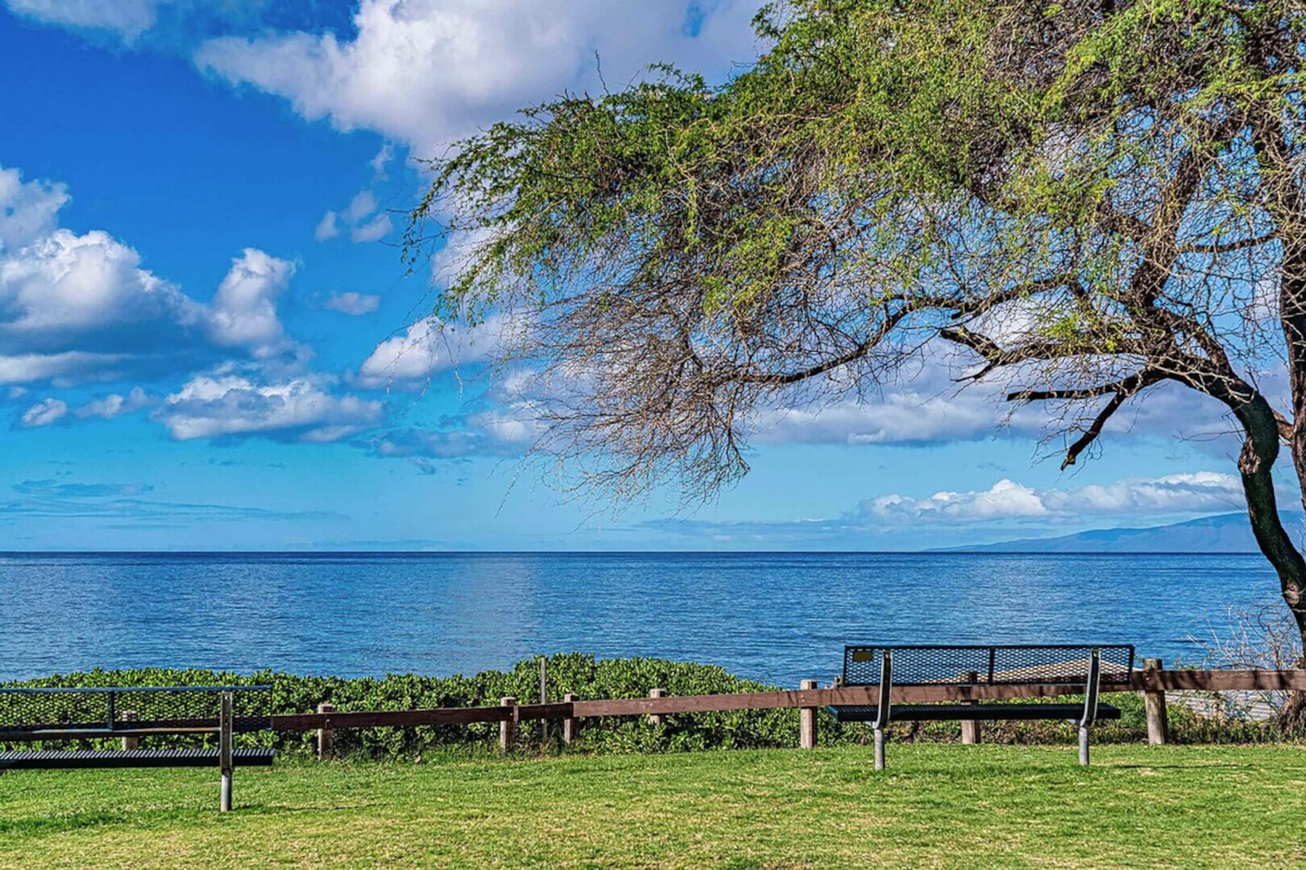 Kamaole Sands 4-411 - Modern, Ocean View, Split AC - Photo 50