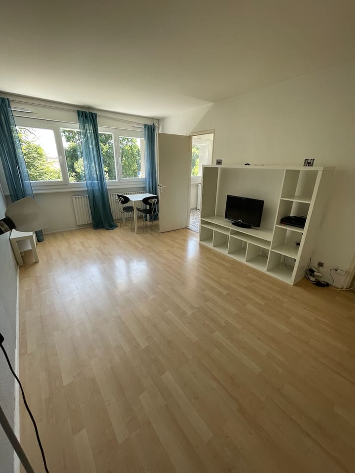 Spacious And Beautiful Apartment In Ferney - Ferney-Voltaire