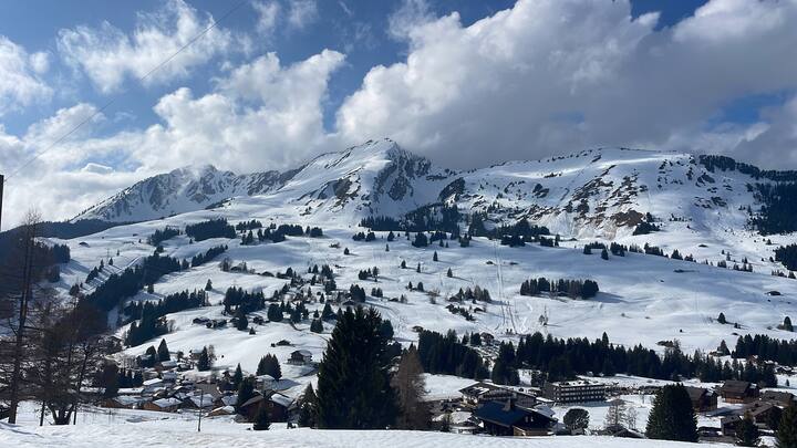 Apartement/studio à Louer Pour La Saison D'hiver - Les Diablerets