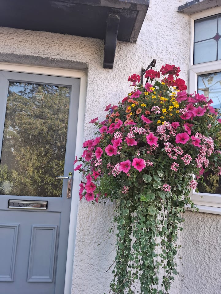 3 Bed Semi In Beautiful Roman Village. - Newport