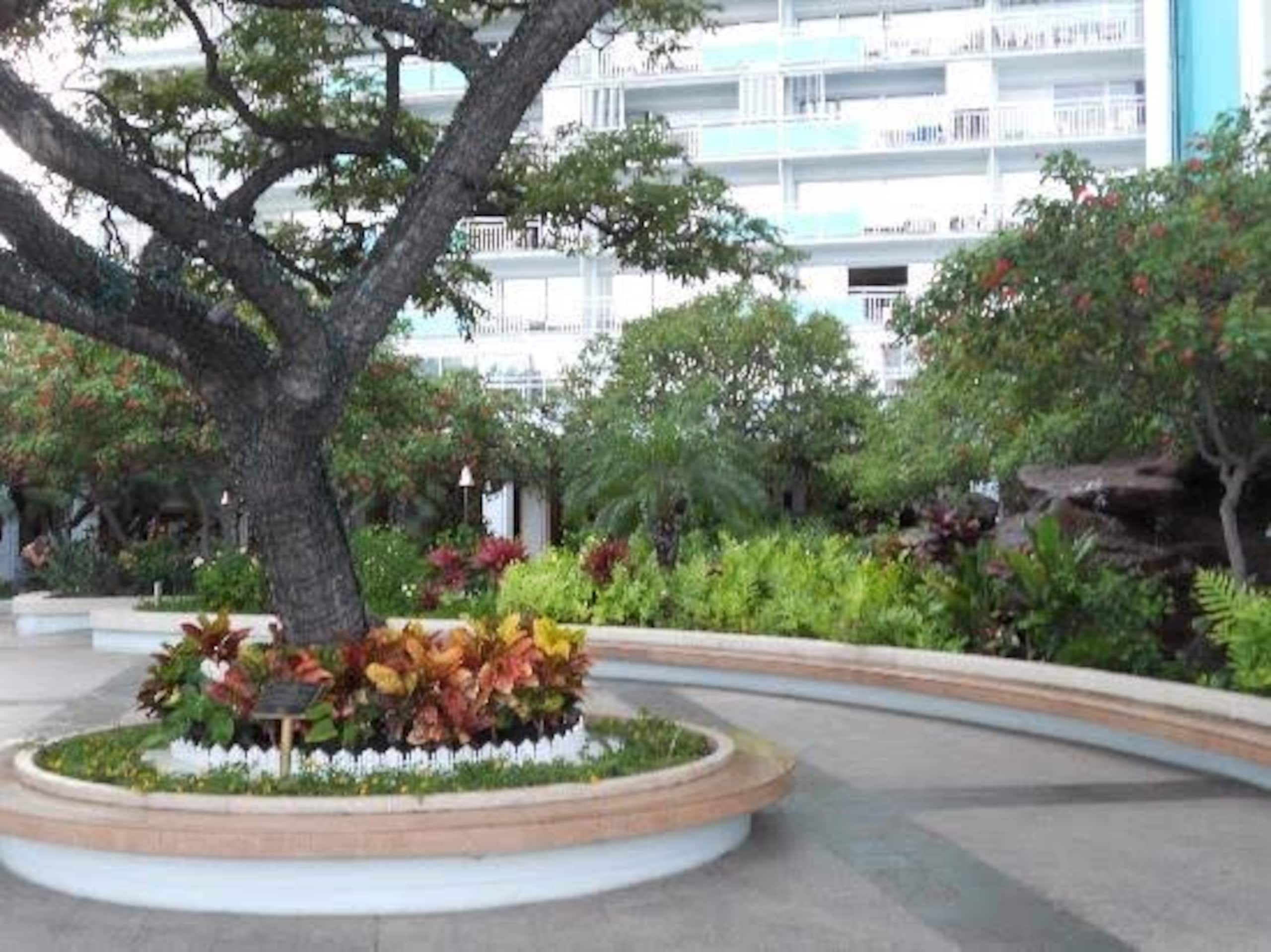New Listing OceanView & Fireworks w/Free Parking - Photo 34