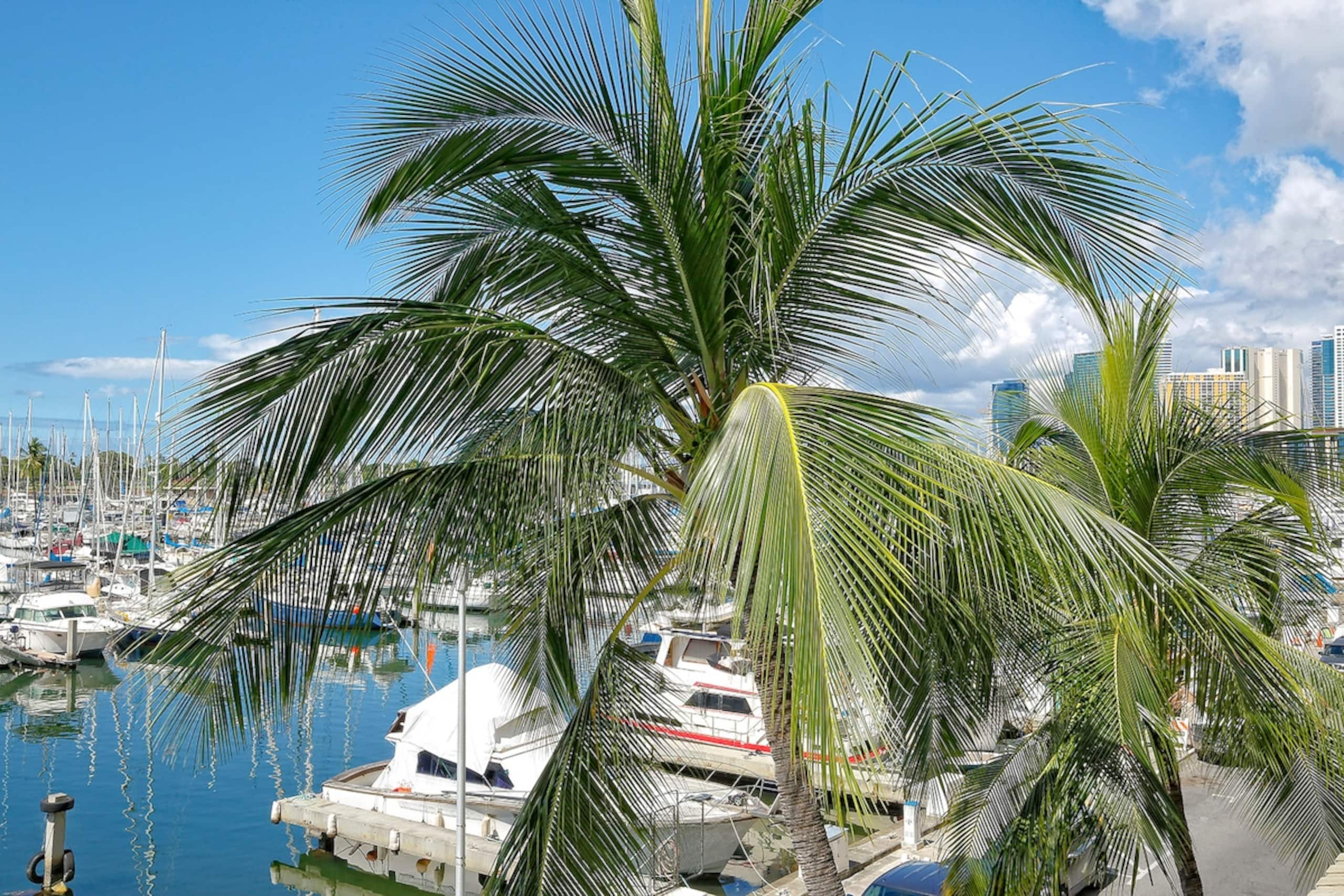 Marina-front View, Washlet, AC, FREE Wi-Fi ILM388 - Photo 21