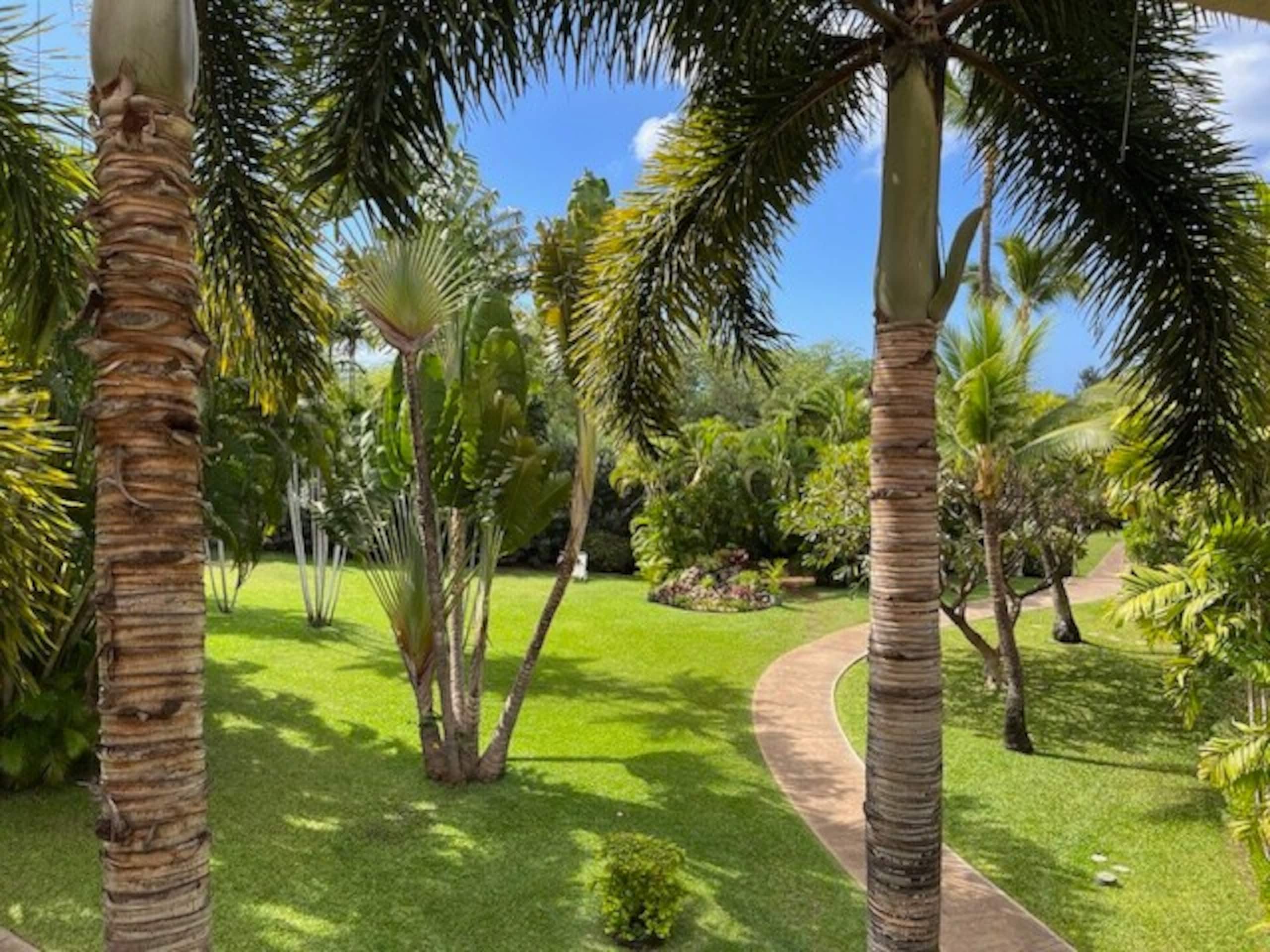 Maui Kihei One Bedroom - Steps from Ocean & Beach - Photo 16