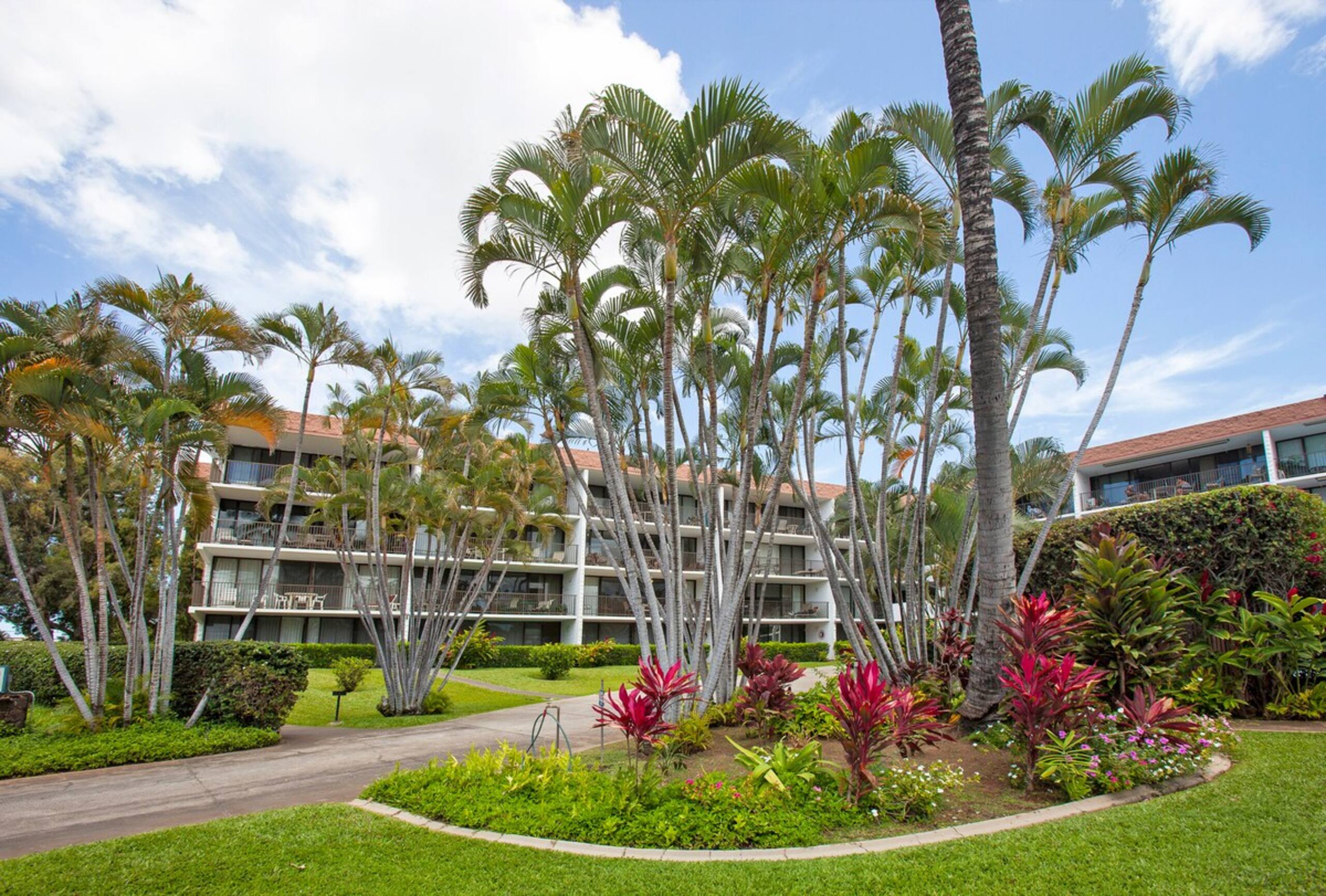 Ocean View Condo with Pool & Beach Access - Photo 25