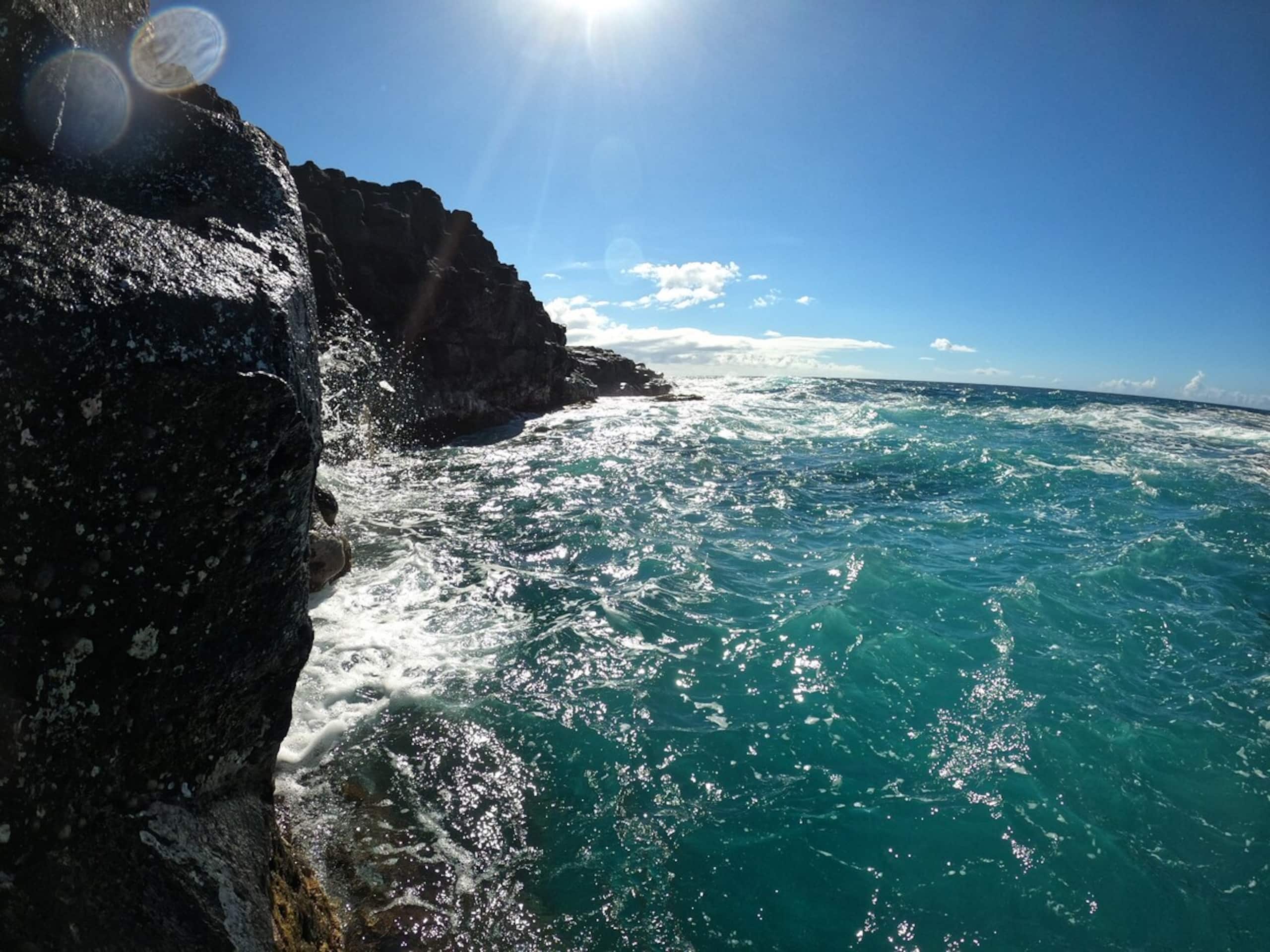 Comfortable Hale on the north shore - Photo 6