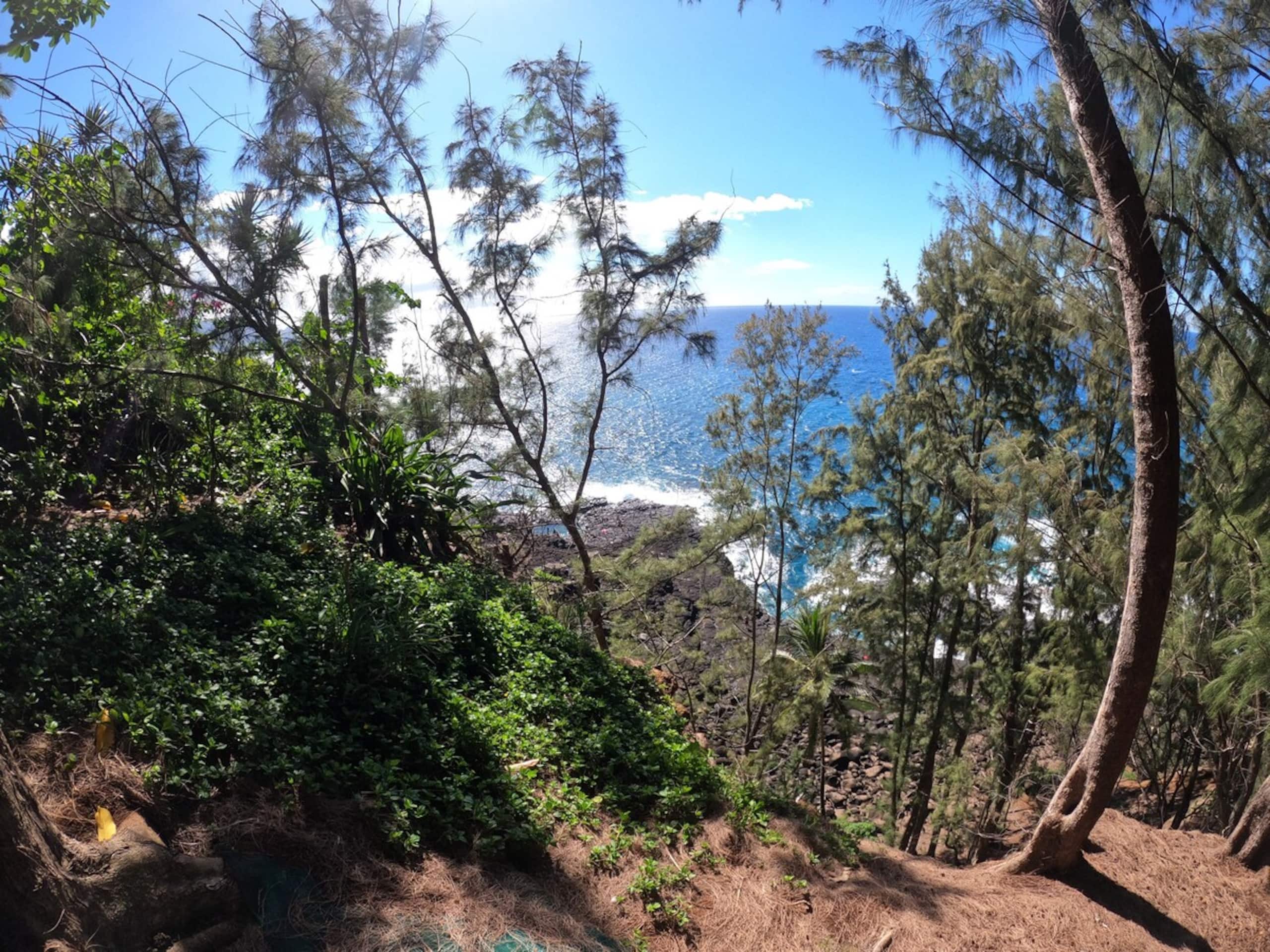 Comfortable Hale on the north shore - Photo 3