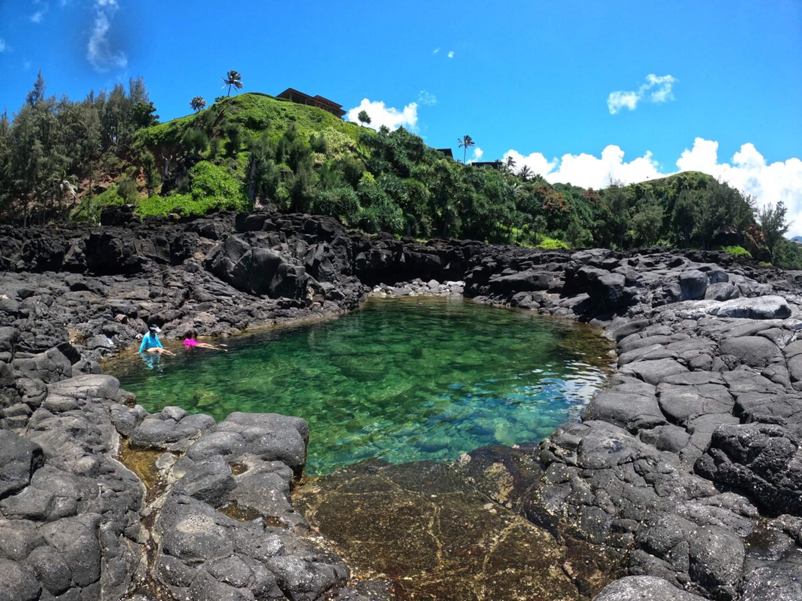 Comfortable Hale on the north shore - Main photo