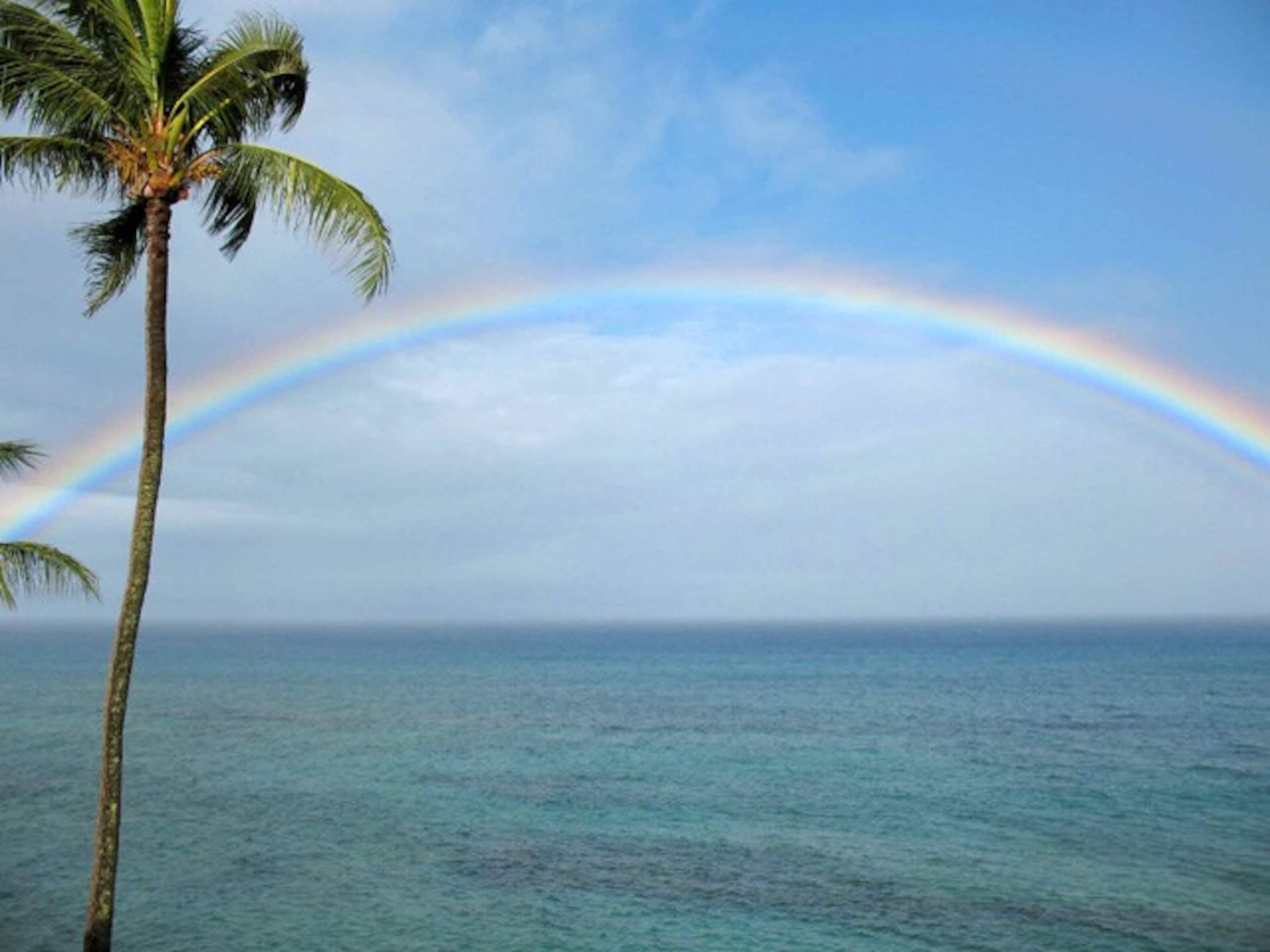 Come and enjoy Ocean front luxury C203 - Photo 34