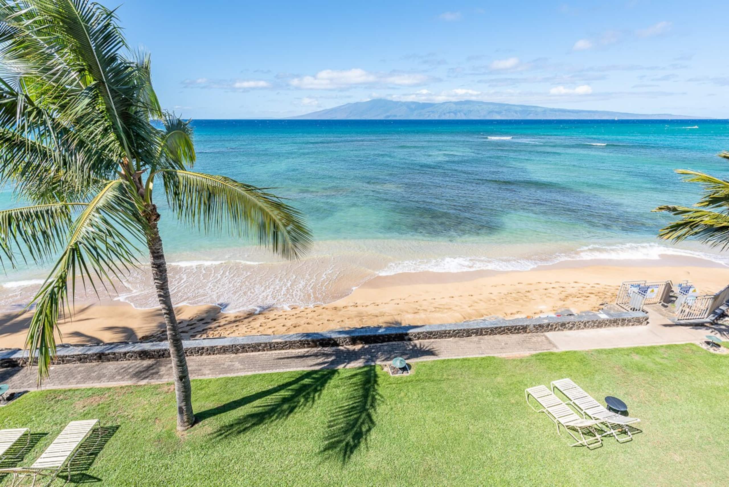 Come and enjoy Ocean front luxury C203 - Photo 21