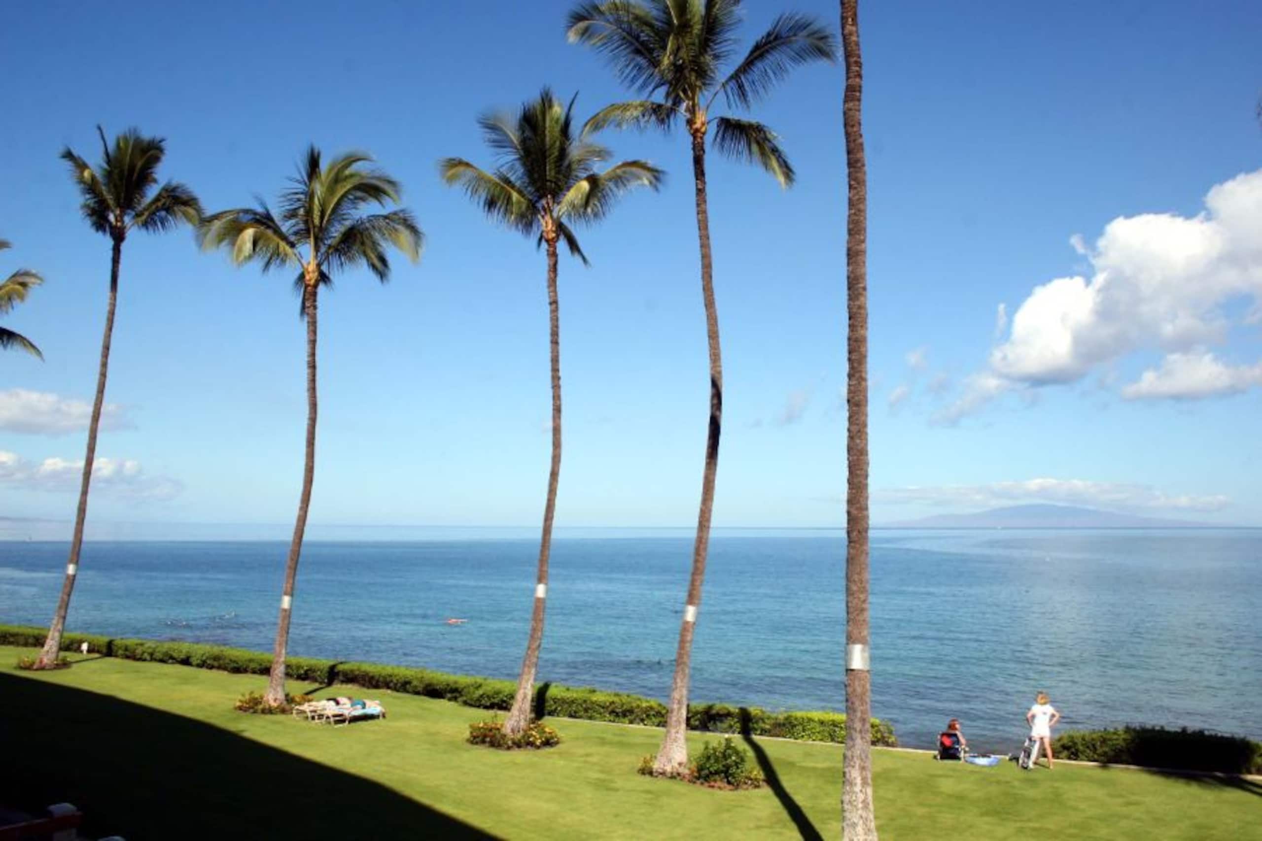 Remodeled Mountain View Condo - Royal Mauian 601 - Photo 16