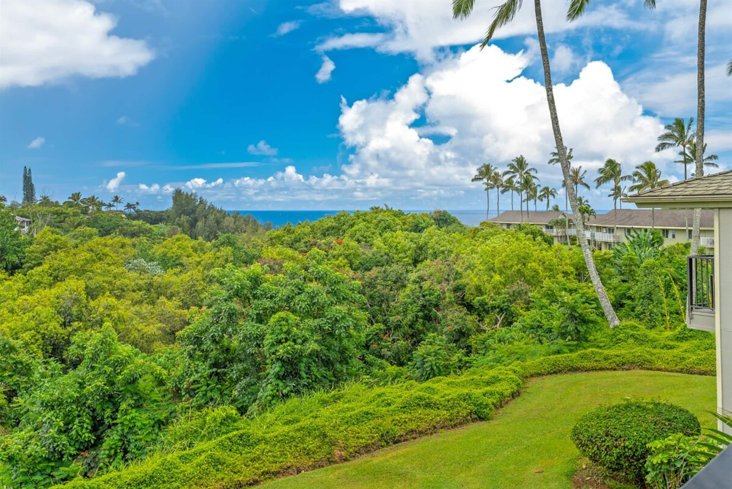 Ocean View Sunsets Jungle Mountain - Photo 14