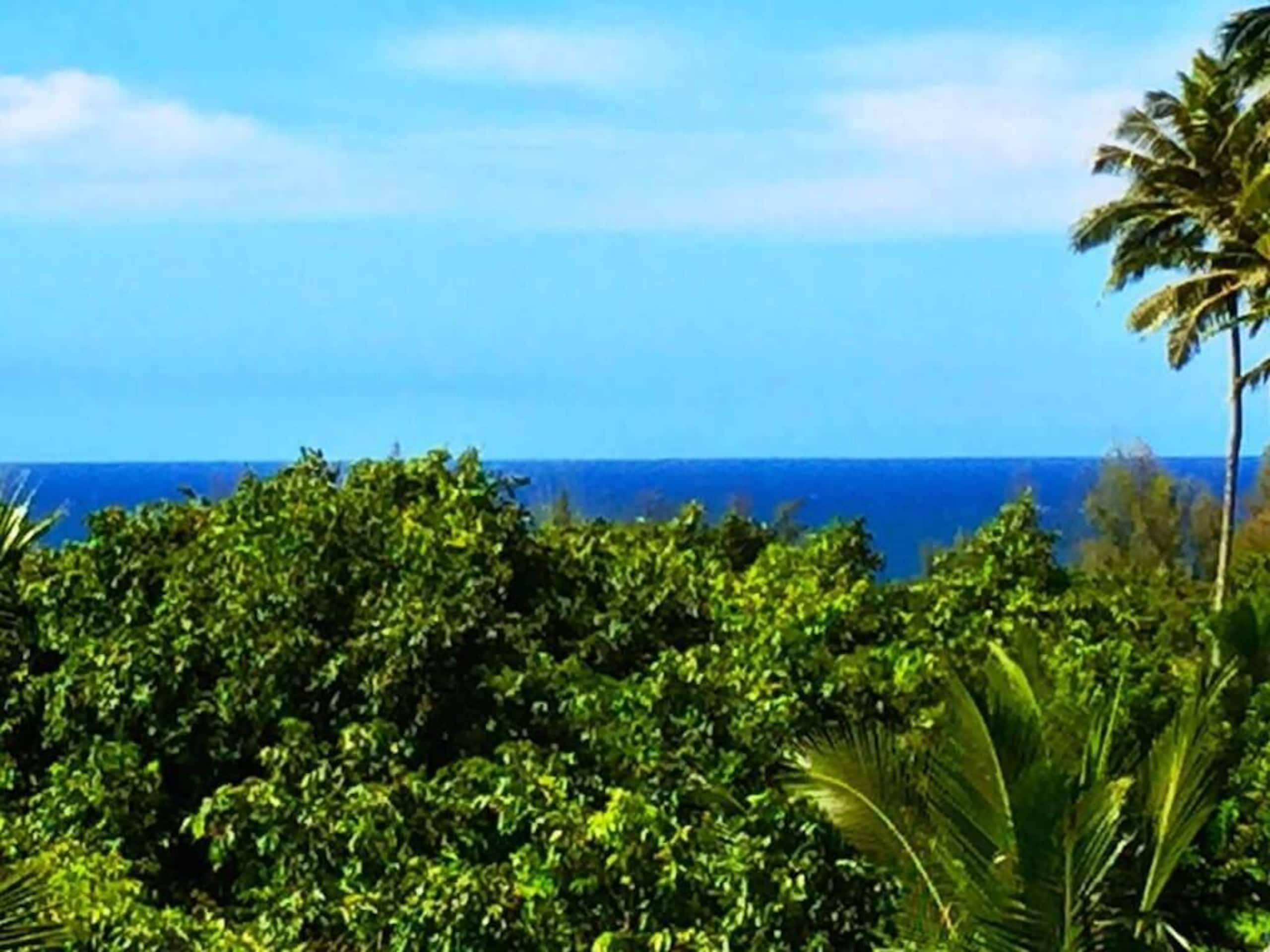 Ocean View Sunsets Jungle Mountain - Photo 18