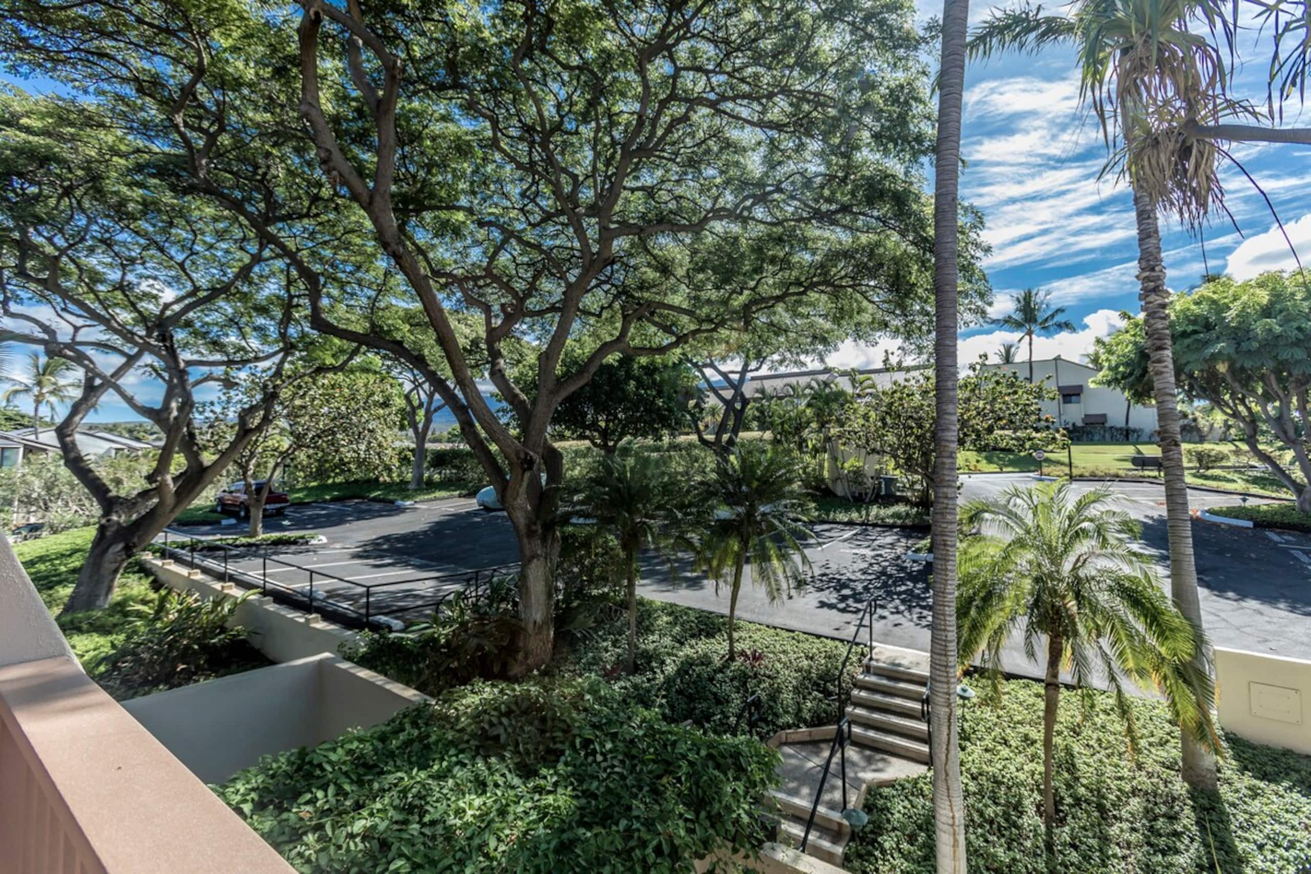 Ocean View, A/c, Wifi, Newly Renovated MKH211 - Photo 43