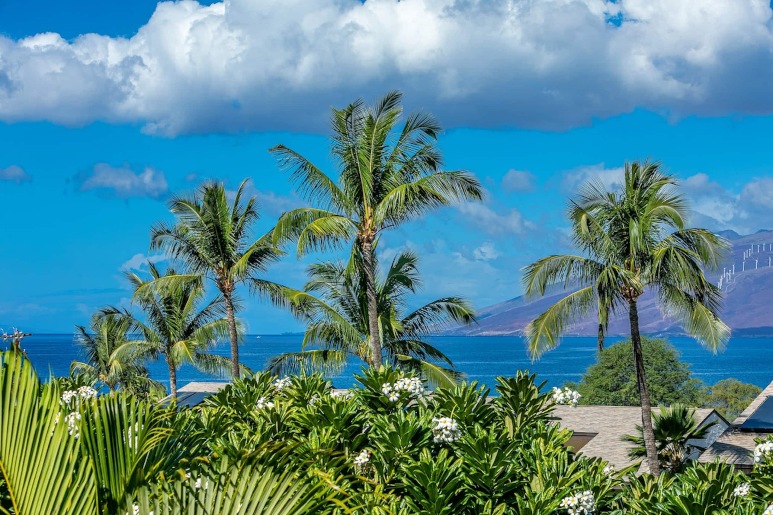Ocean View, A/c, Wifi, Newly Renovated MKH211 - Photo 27