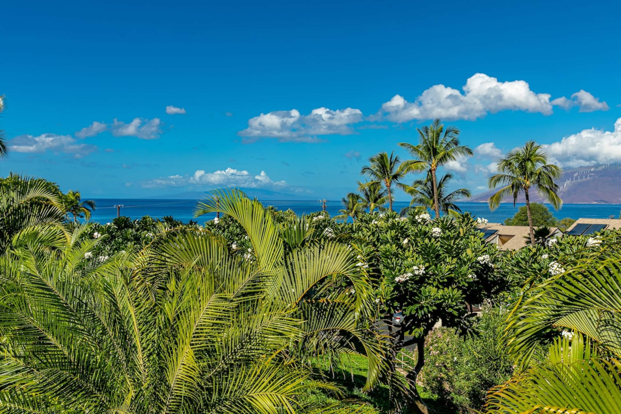 Ocean View, A/c, Wifi, Newly Renovated MKH211 - Photo 25