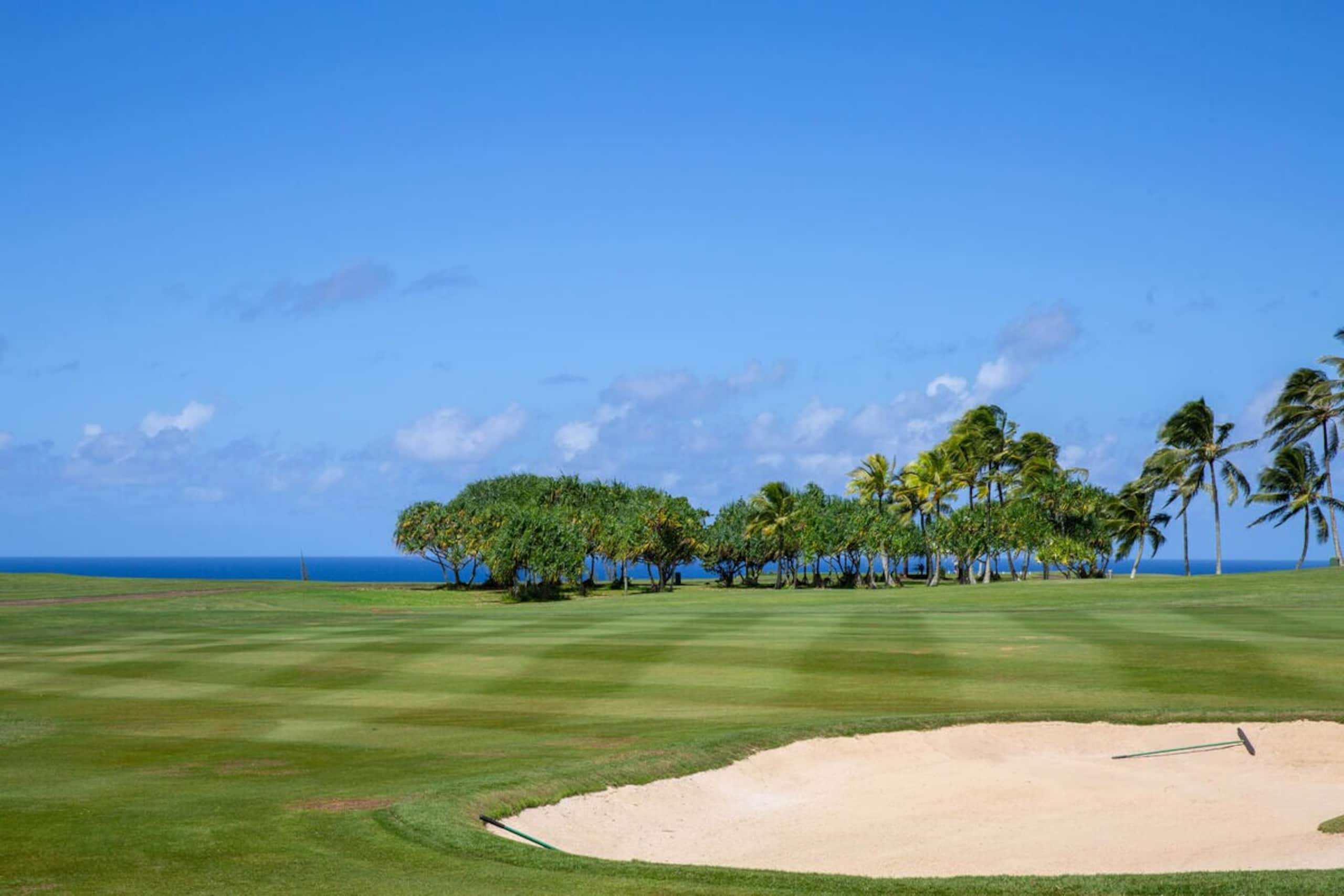 Hawaii Life Rental Presents Emmalani 423 - Photo 25