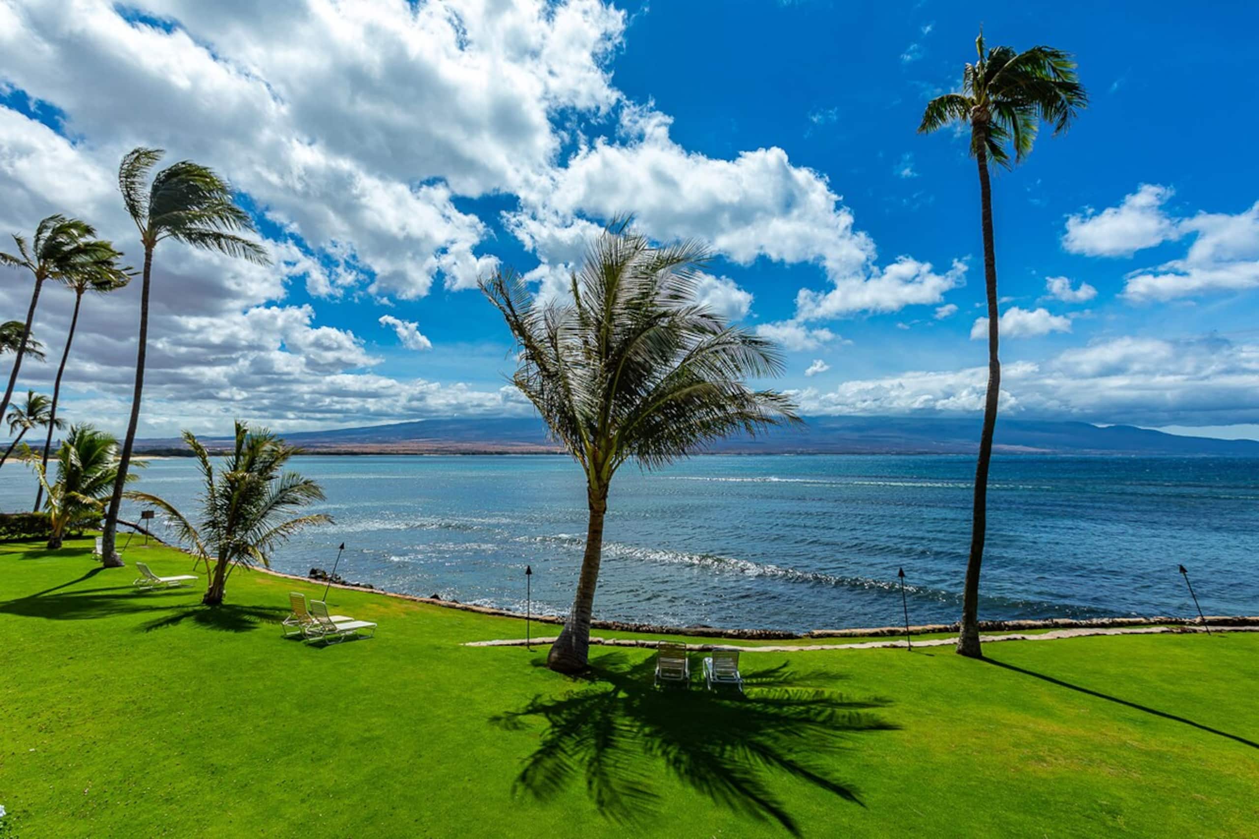 Beachfront condo w/ ocean views and pool - Photo 43