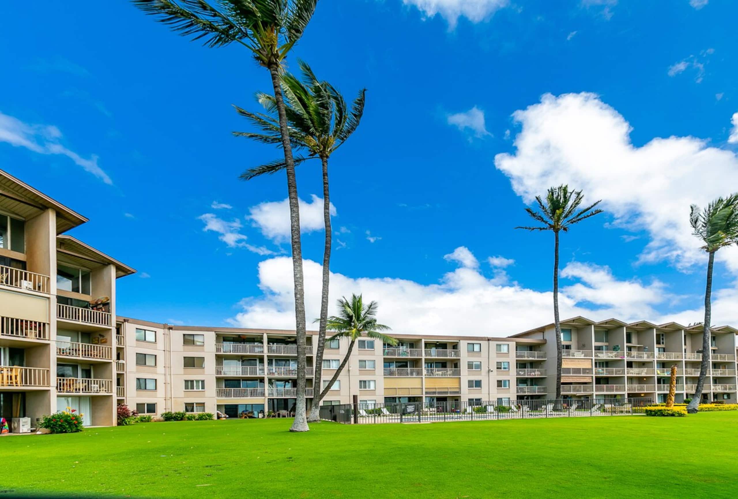 Beachfront condo w/ ocean views and pool - Photo 45