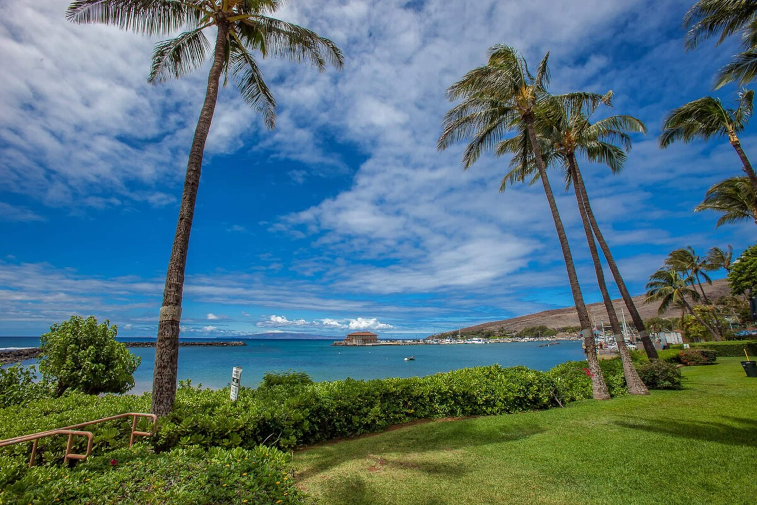 Beachfront condo w/ ocean views and pool - Photo 41