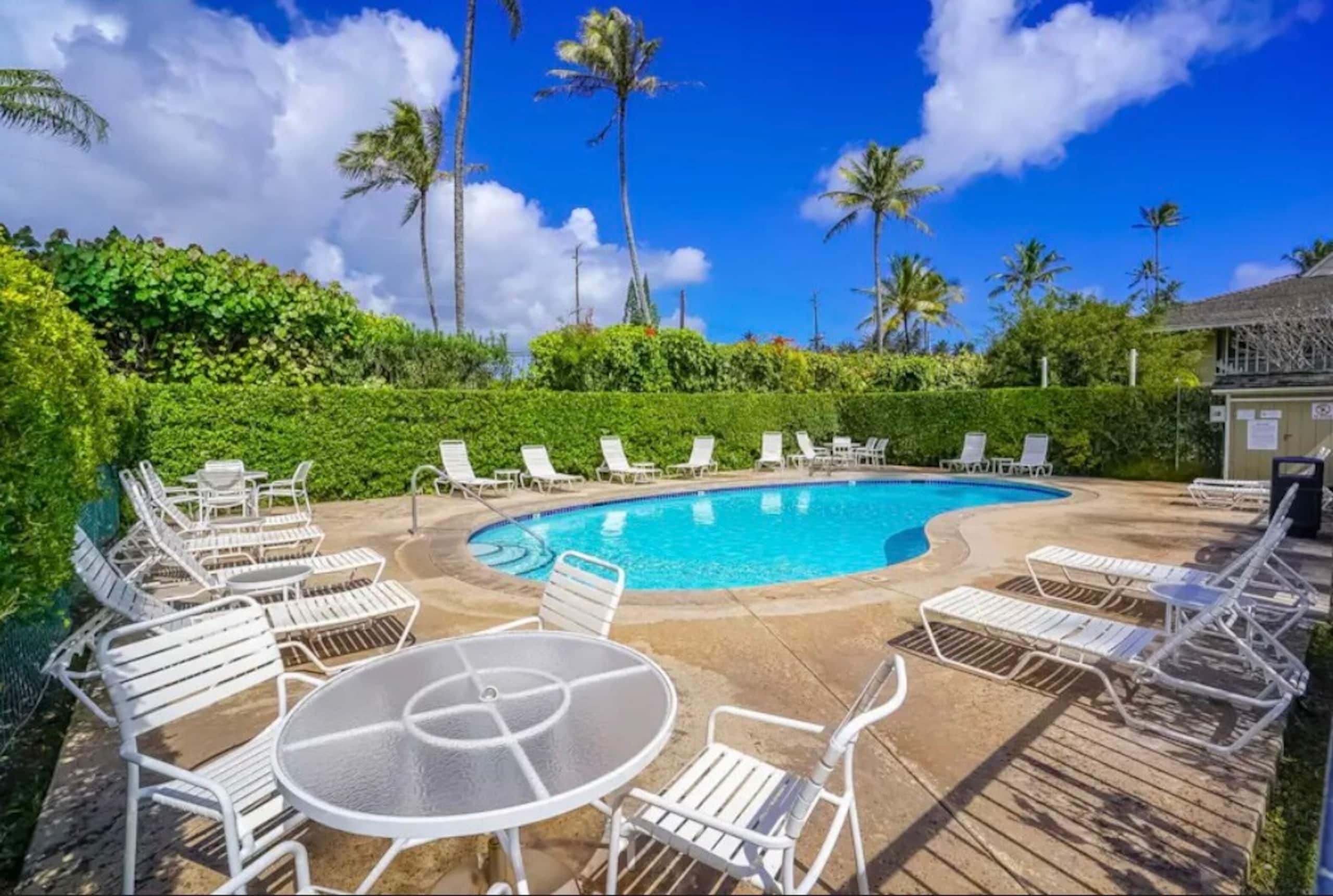 Kapa’a Condo W/ free parking + A/C - Photo 17