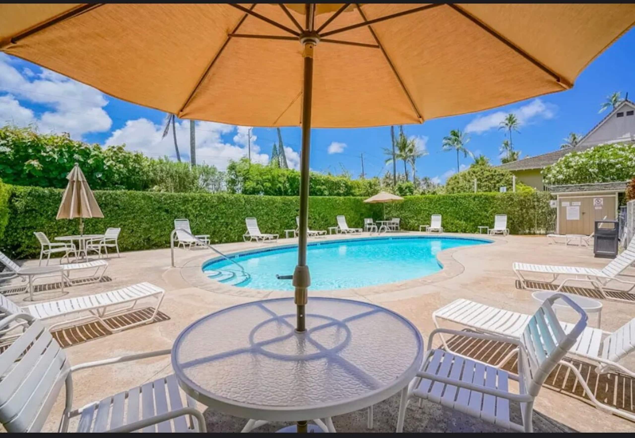 Kapa’a Condo W/ free parking + A/C - Photo 21