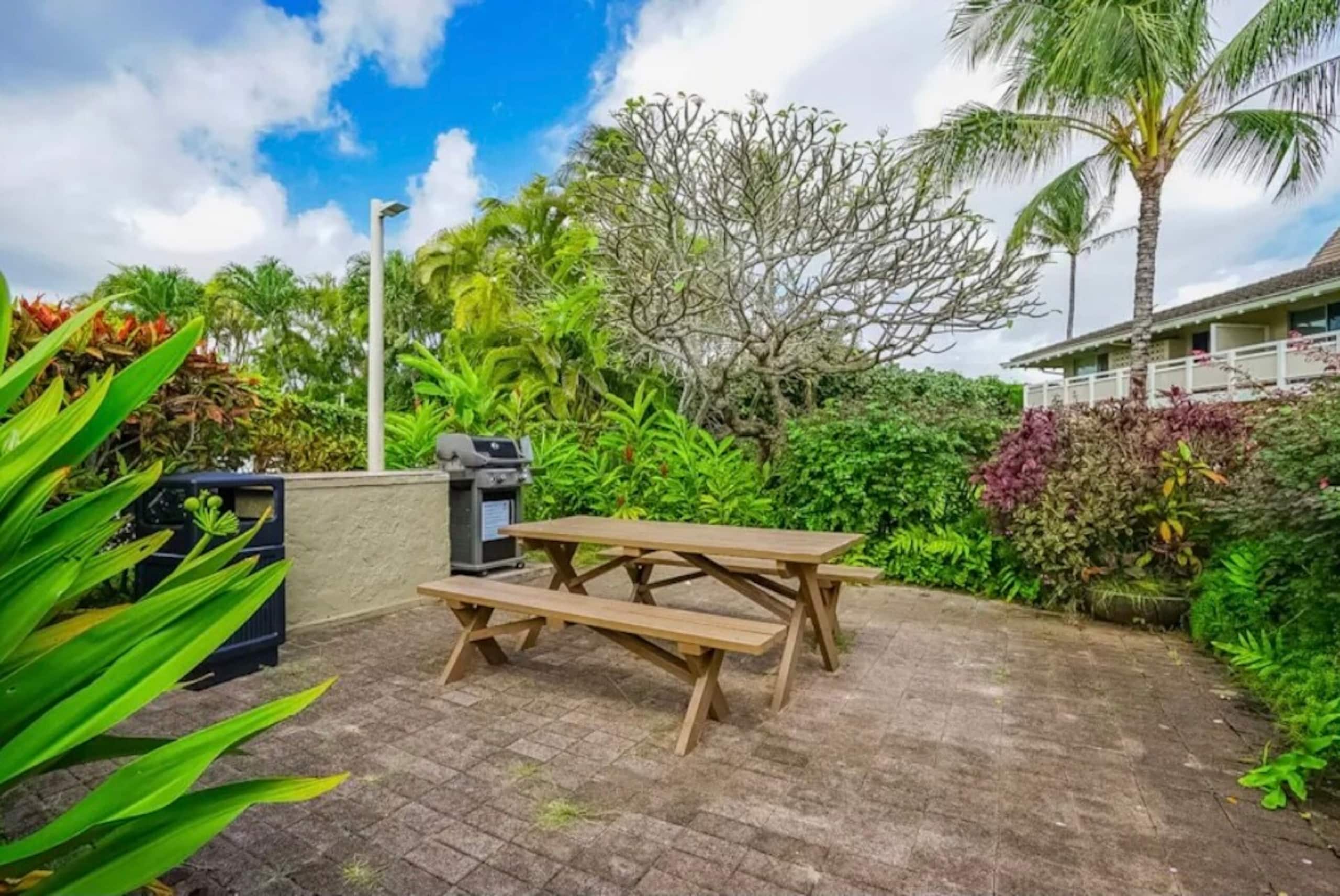 Kapa’a Condo W/ free parking + A/C - Photo 11