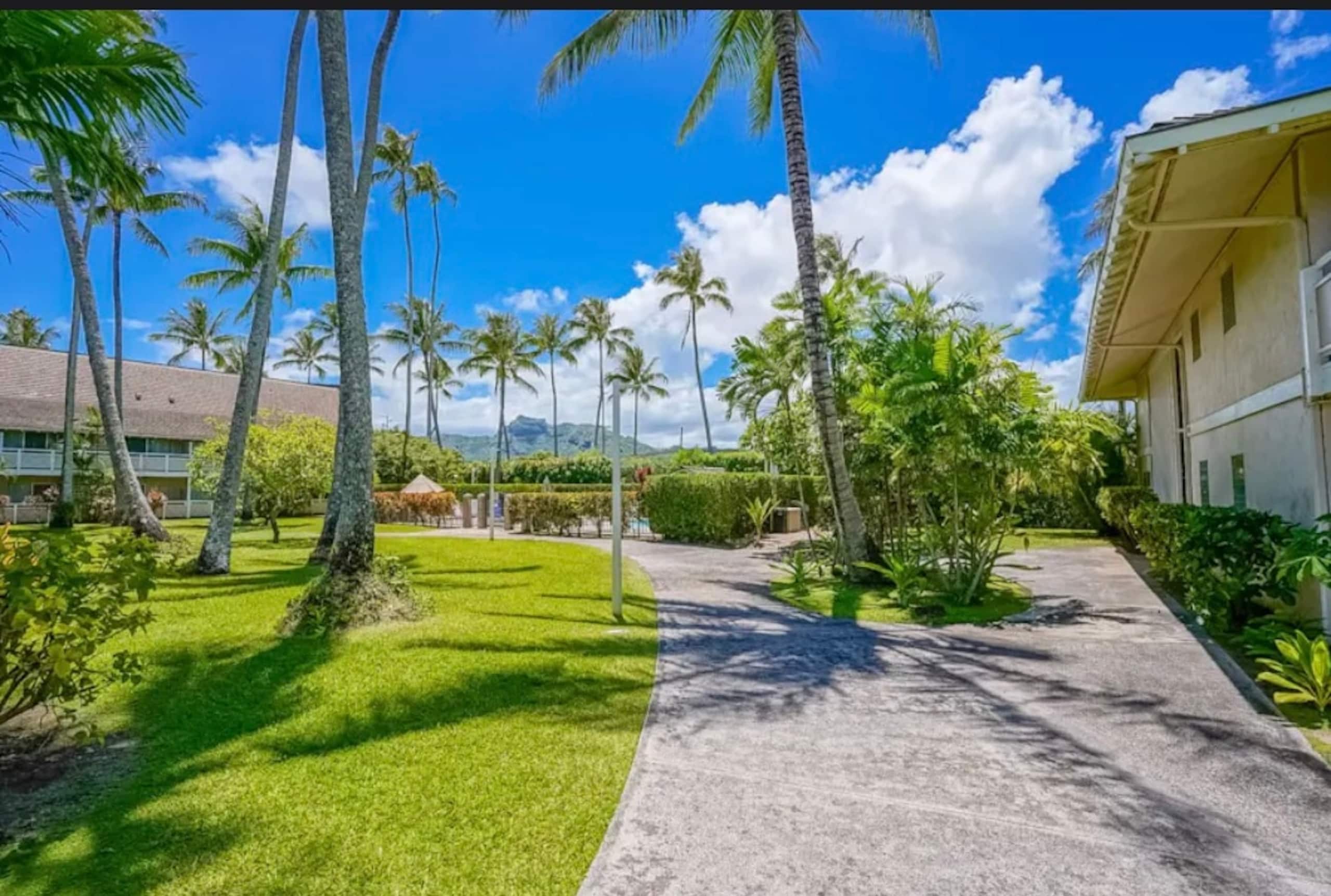 Kapa’a Condo W/ free parking + A/C - Main photo