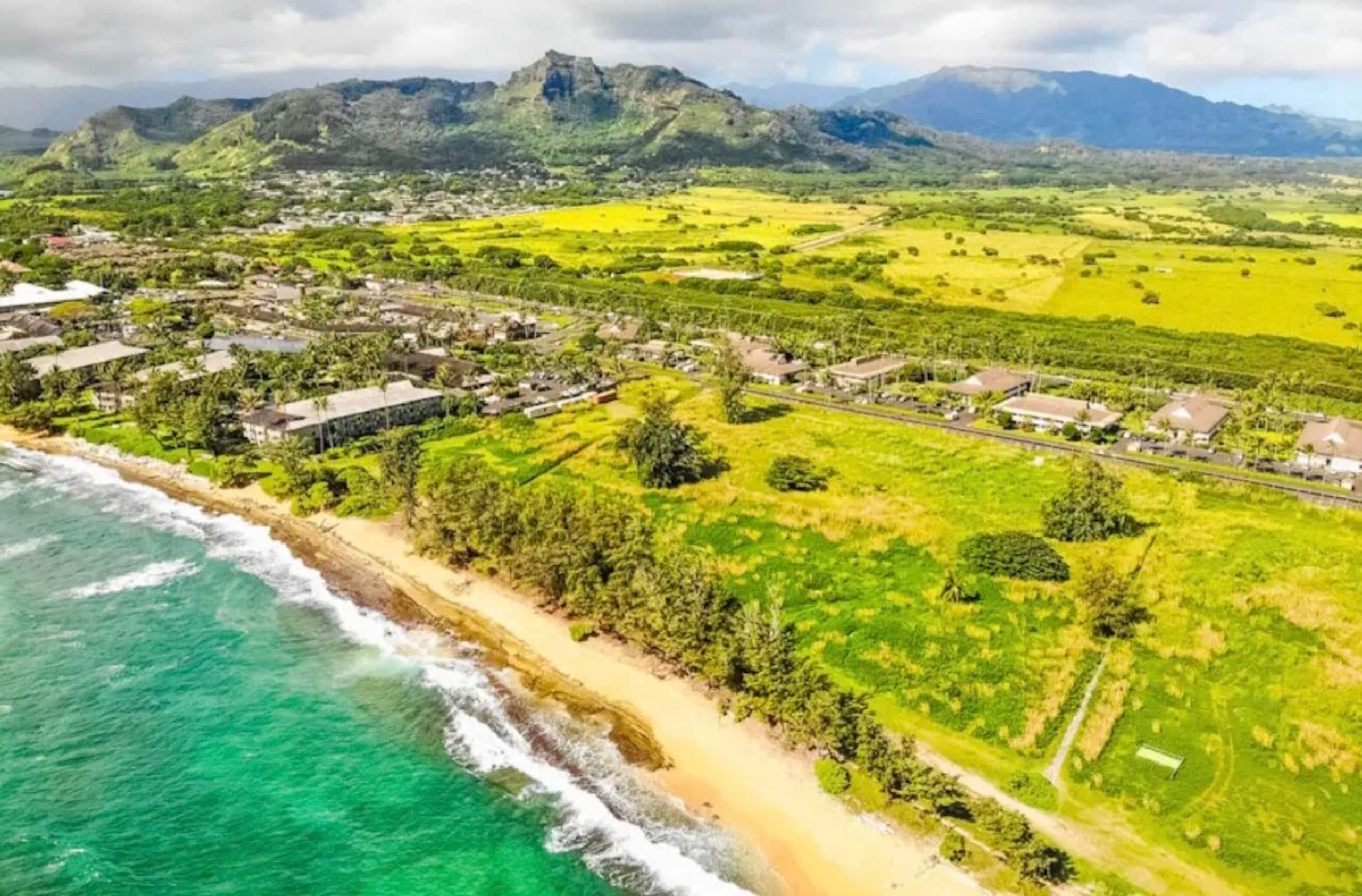Kapa’a Condo W/ free parking + A/C - Photo 18
